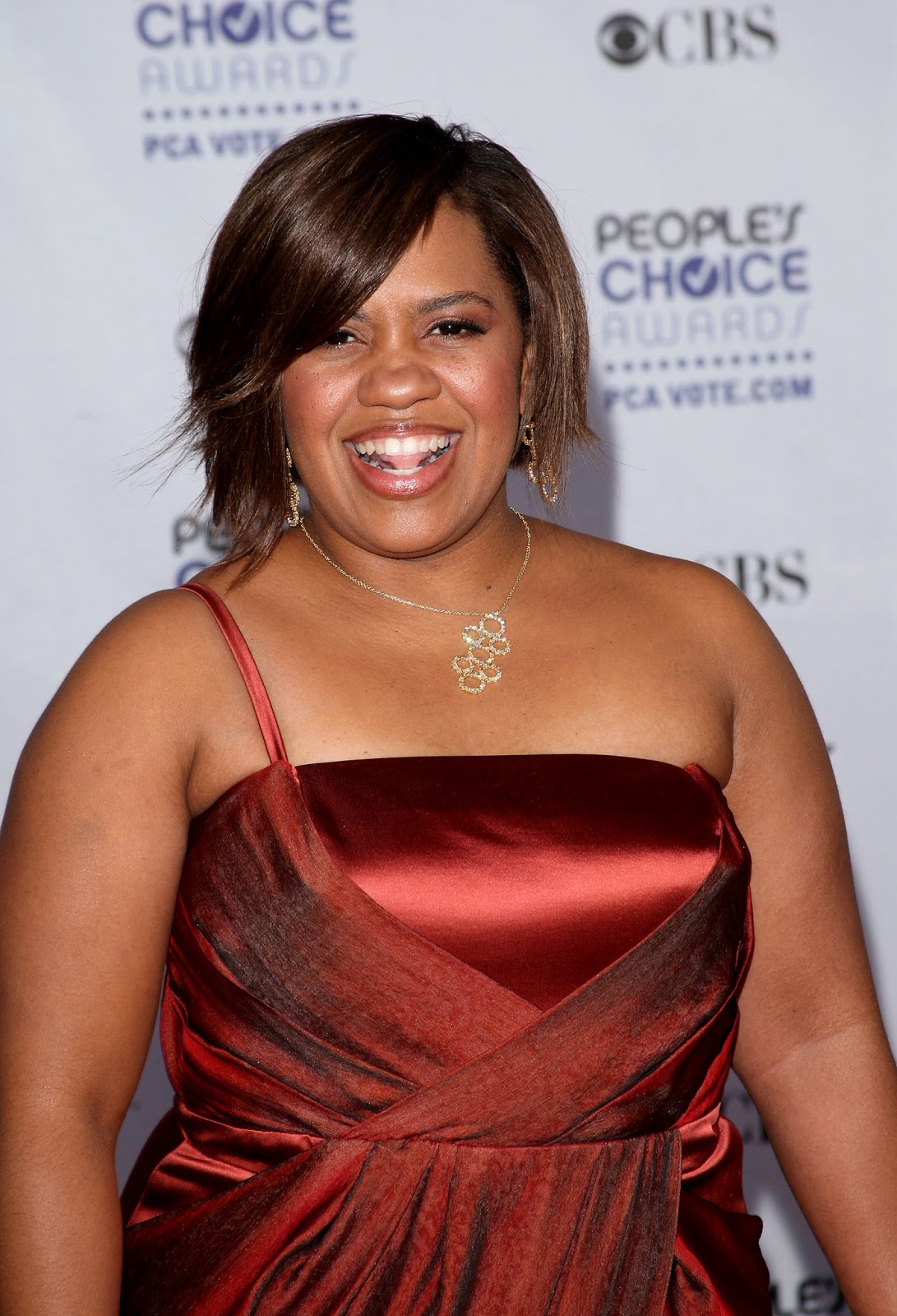 Chandra Wilson Net Worth