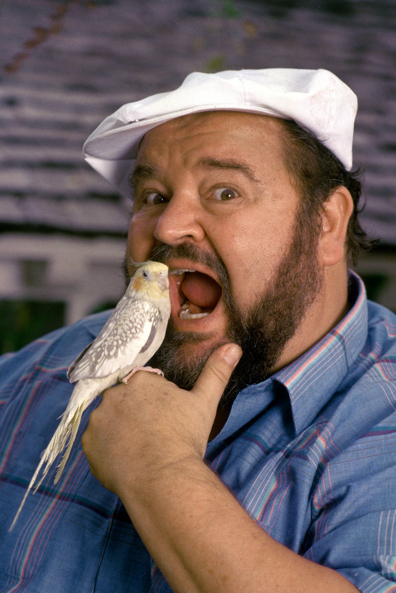 Dom Deluise Net Worth