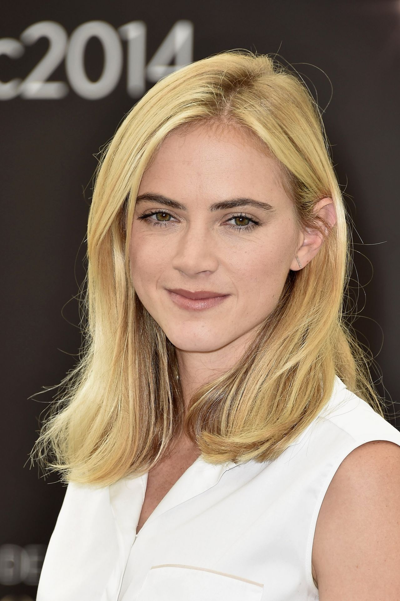 Emily Wickersham Net Worth