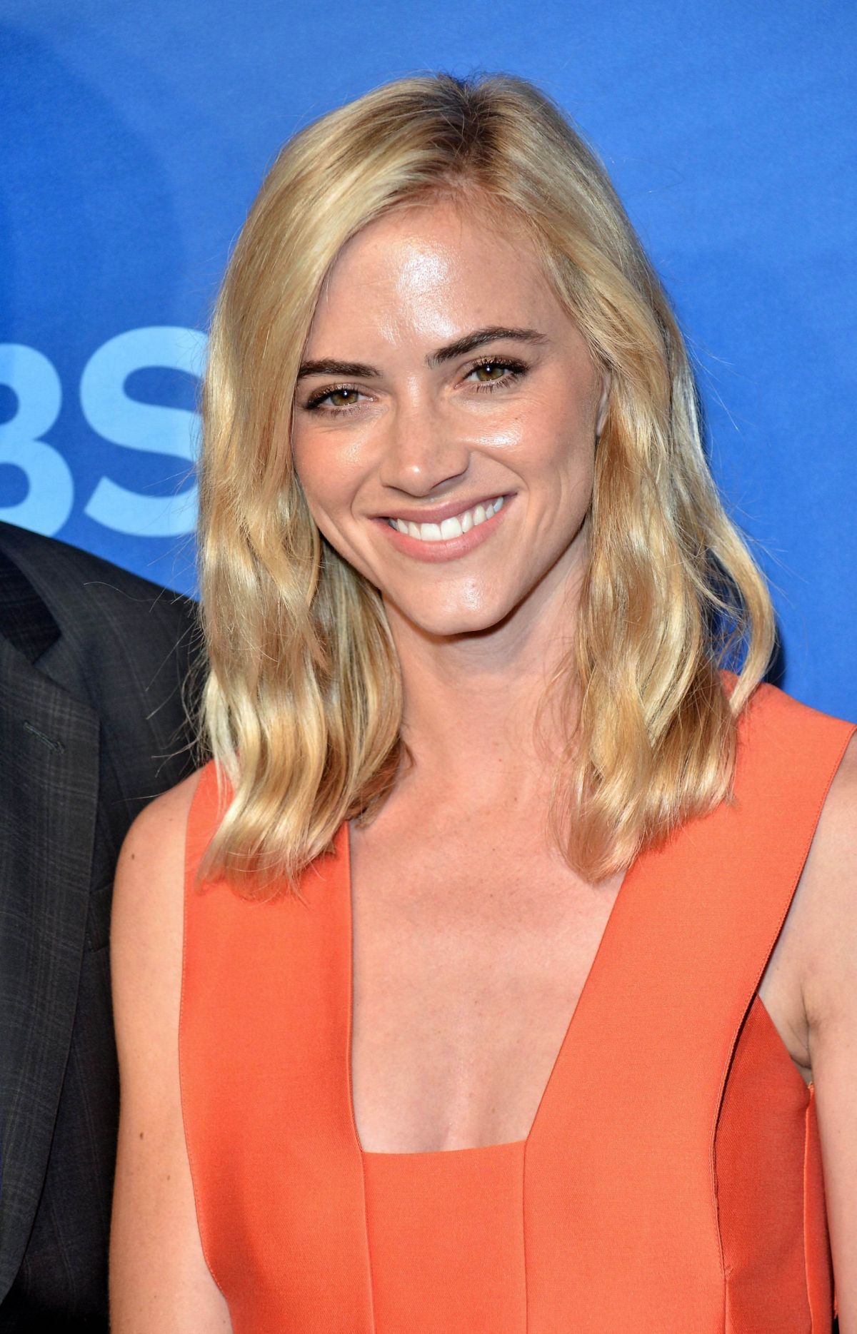 Emily Wickersham Net Worth