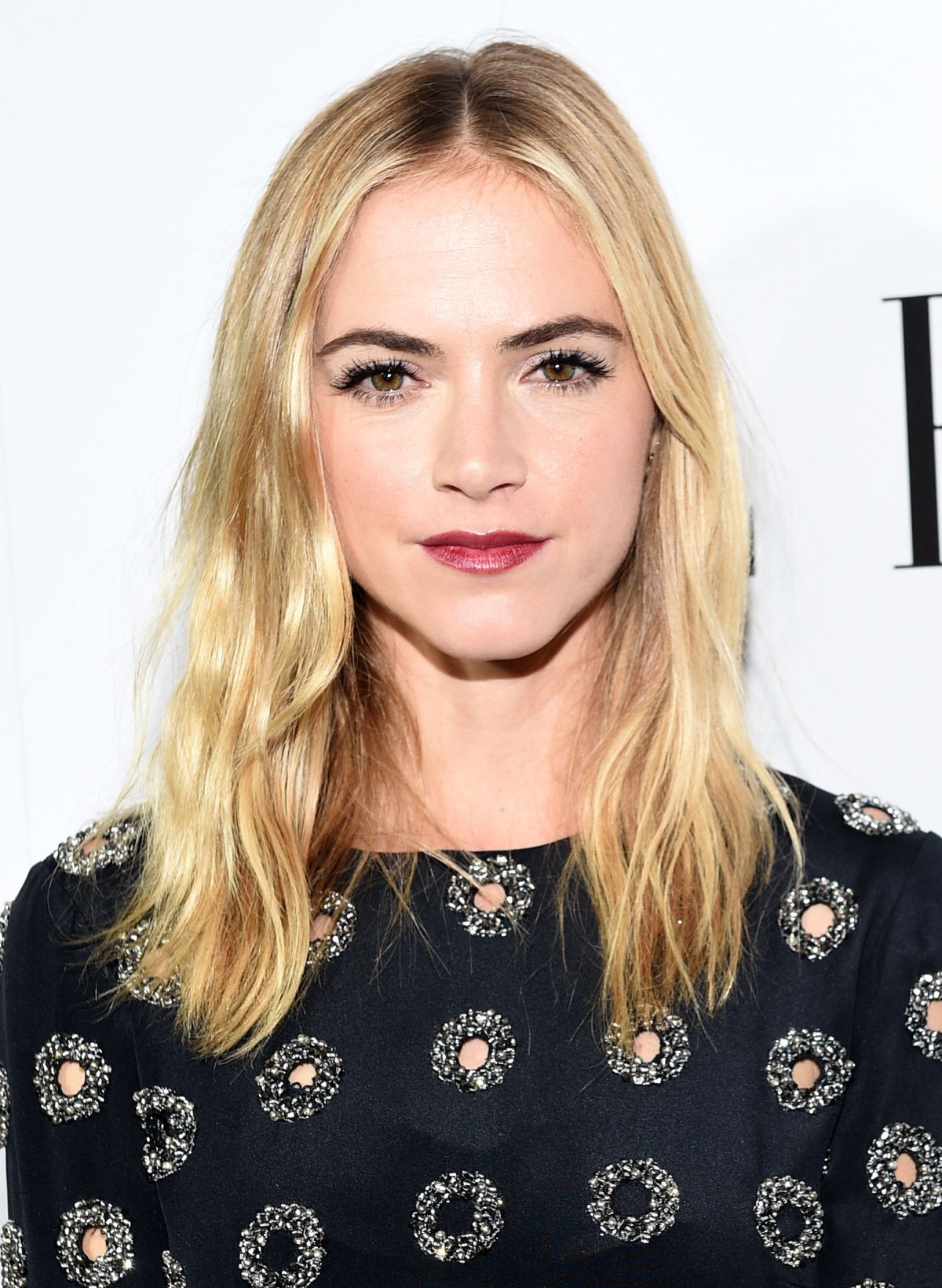 Emily Wickersham Net Worth