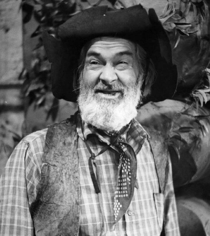 Gabby Hayes Net Worth