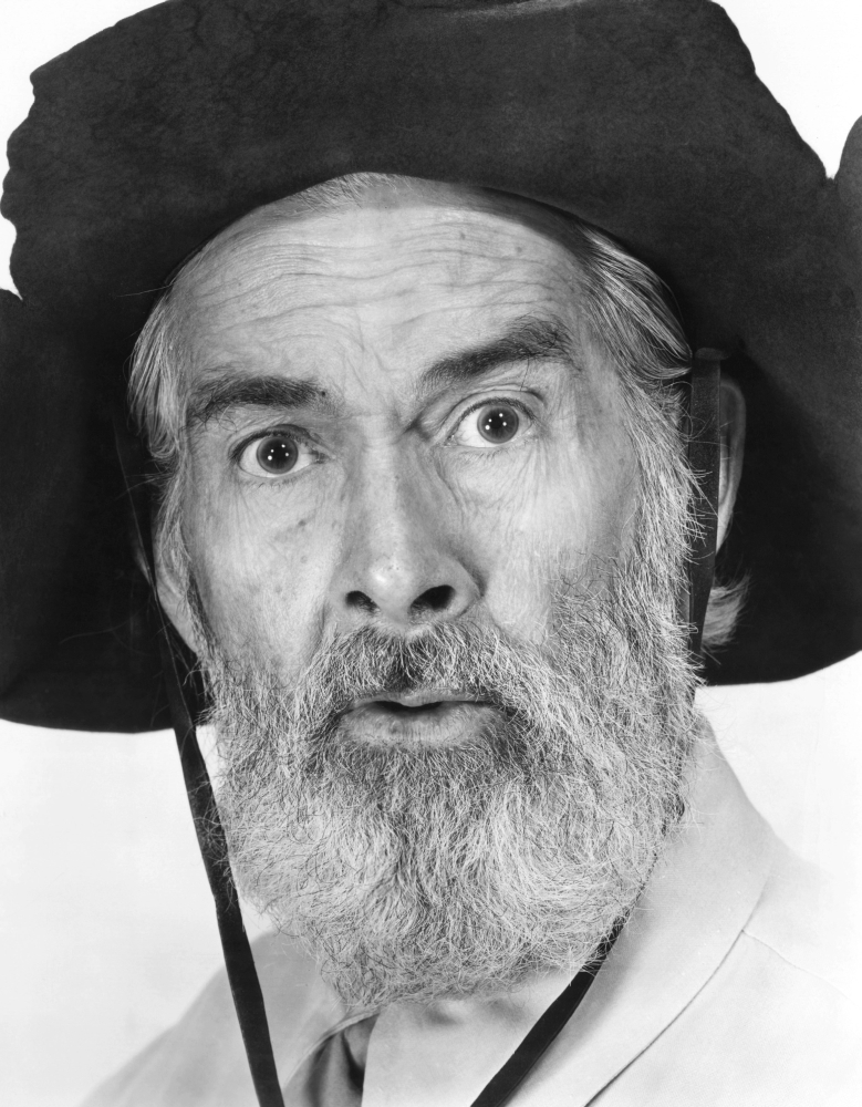 Gabby Hayes Net Worth