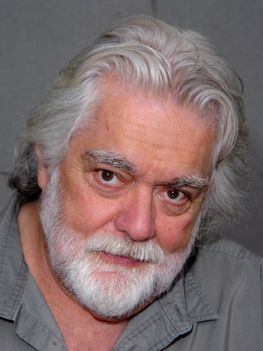 Gunnar Hansen Net Worth