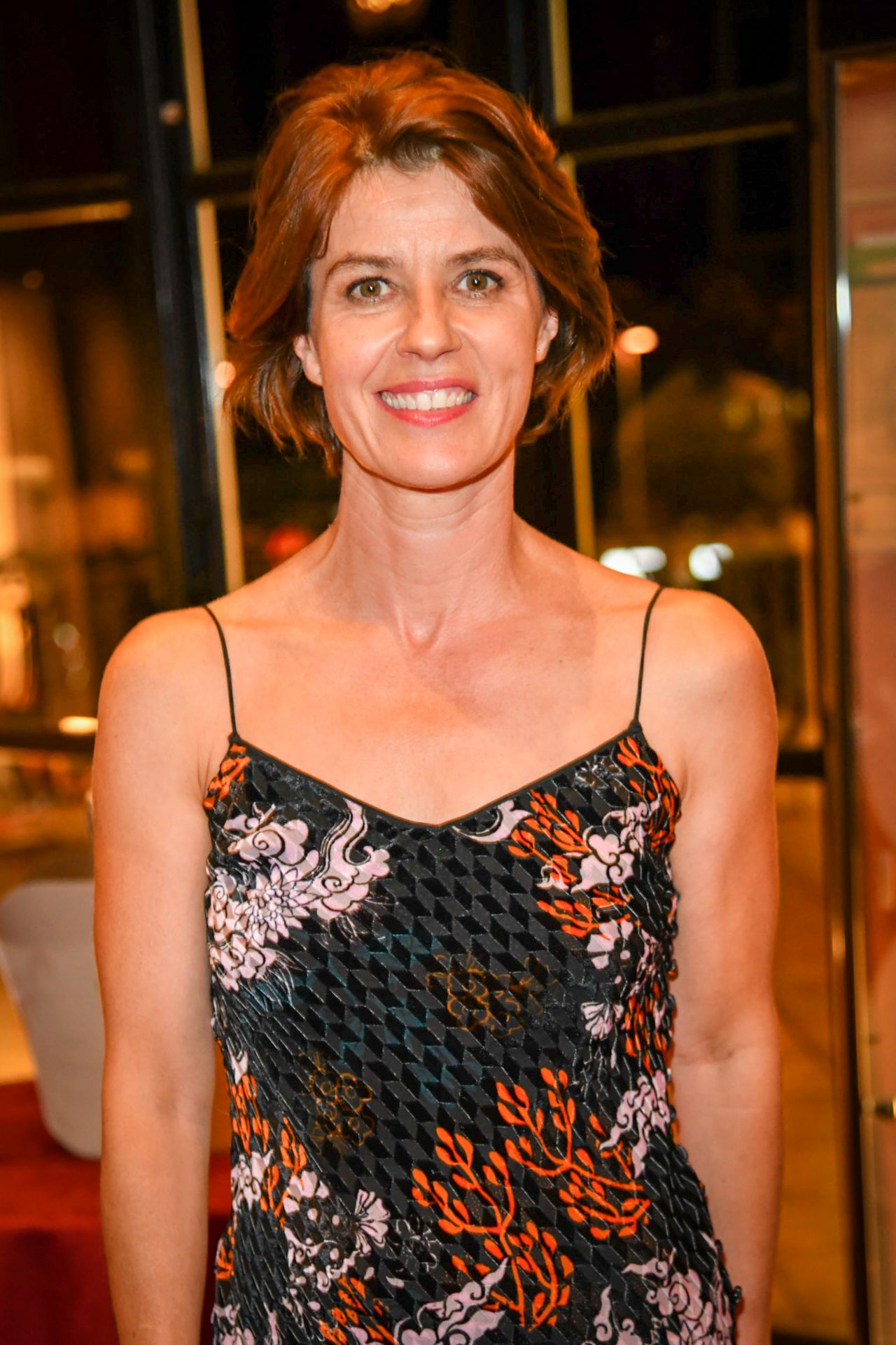Irene Jacob Net Worth