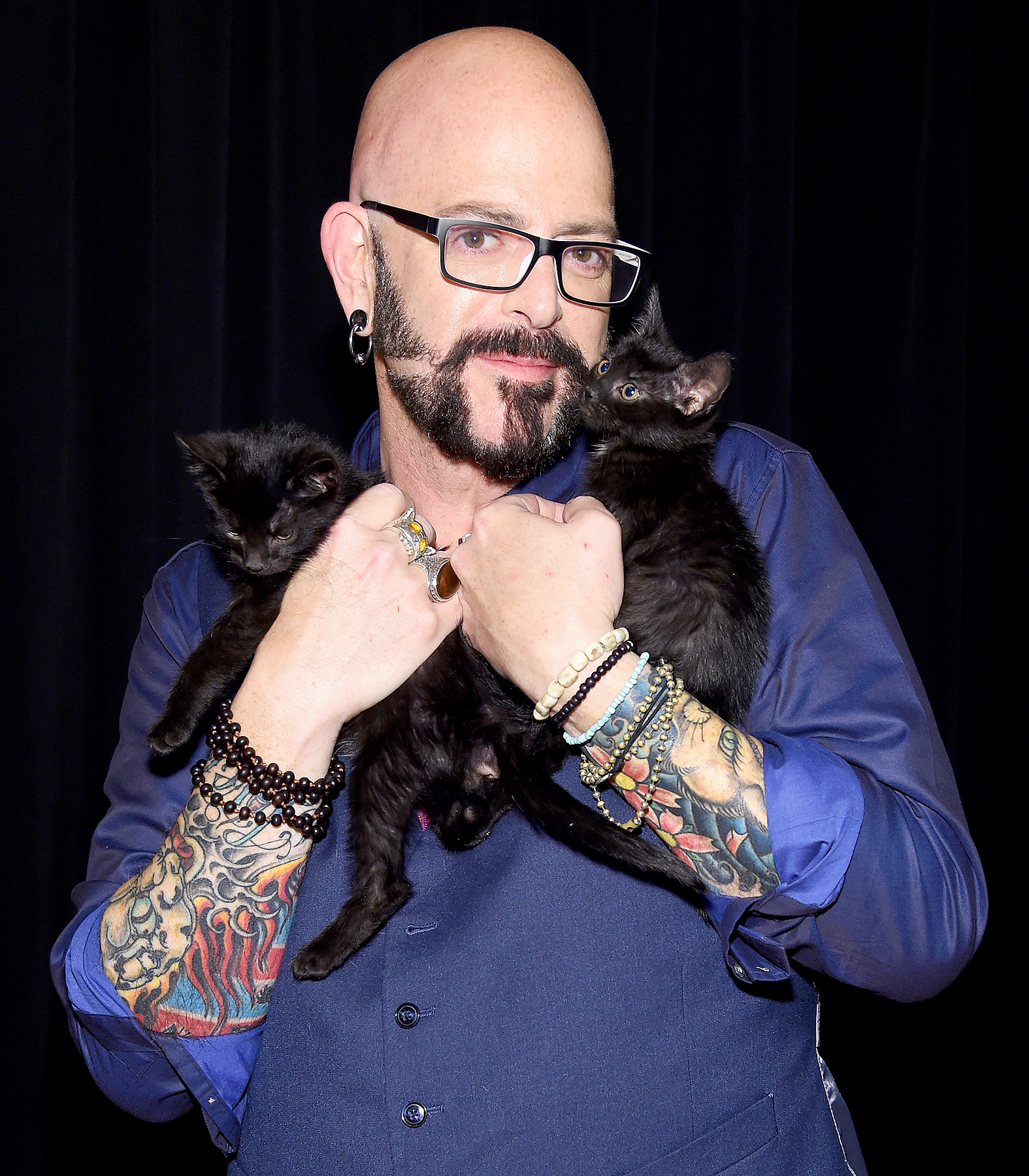 Jackson Galaxy Net Worth