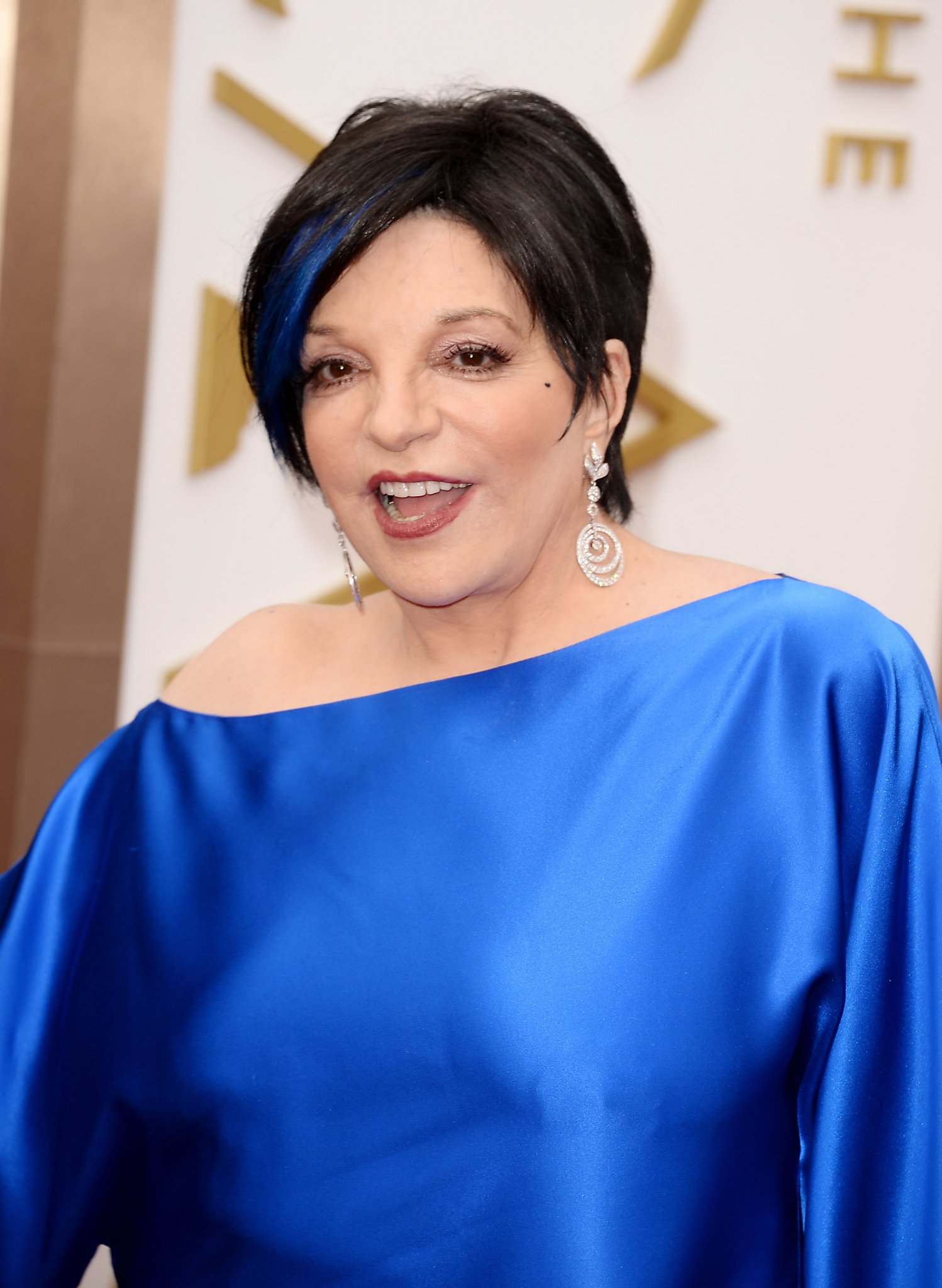 Liza Minnelli Net Worth