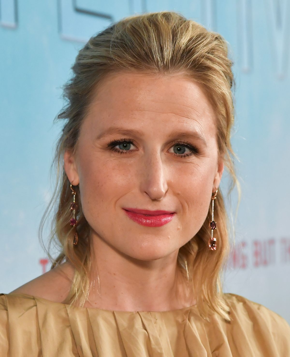 Mamie Gummer Net Worth