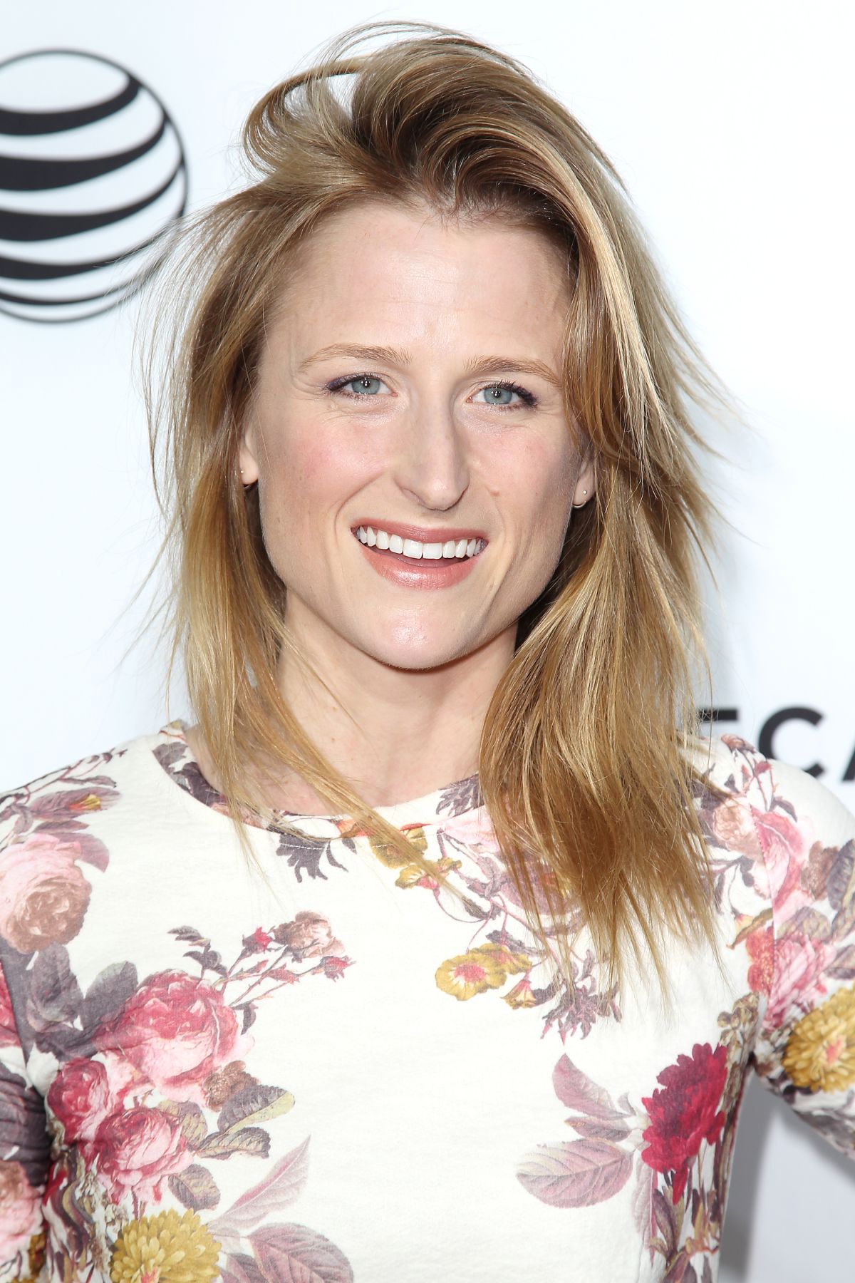 Mamie Gummer Net Worth