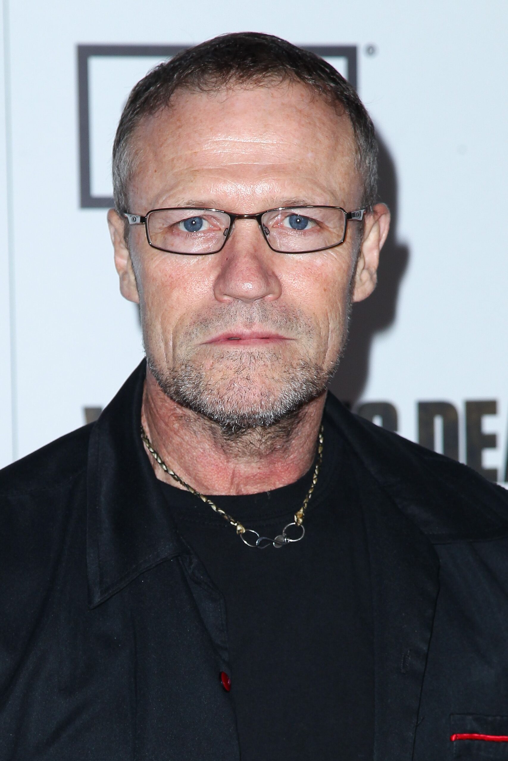 Michael Rooker Net Worth