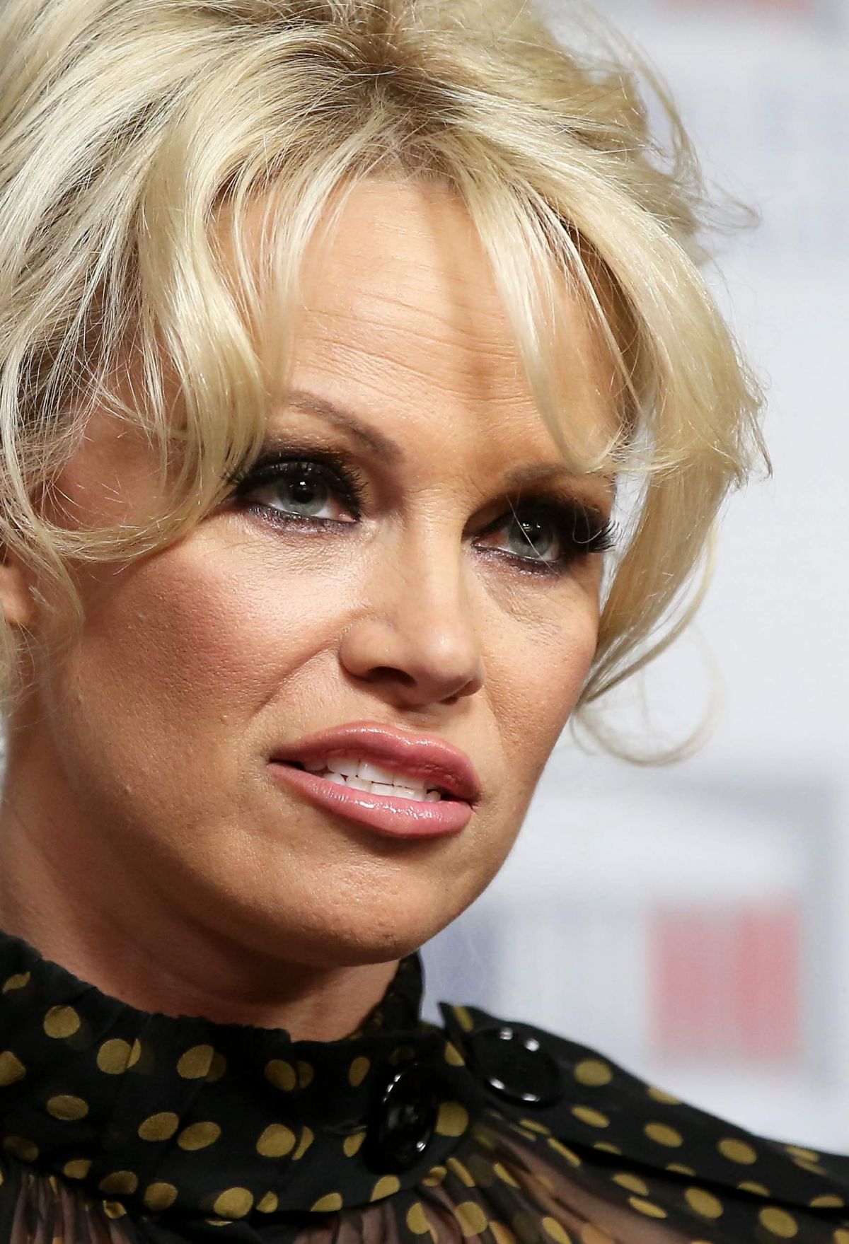 Pamela Anderson Net Worth