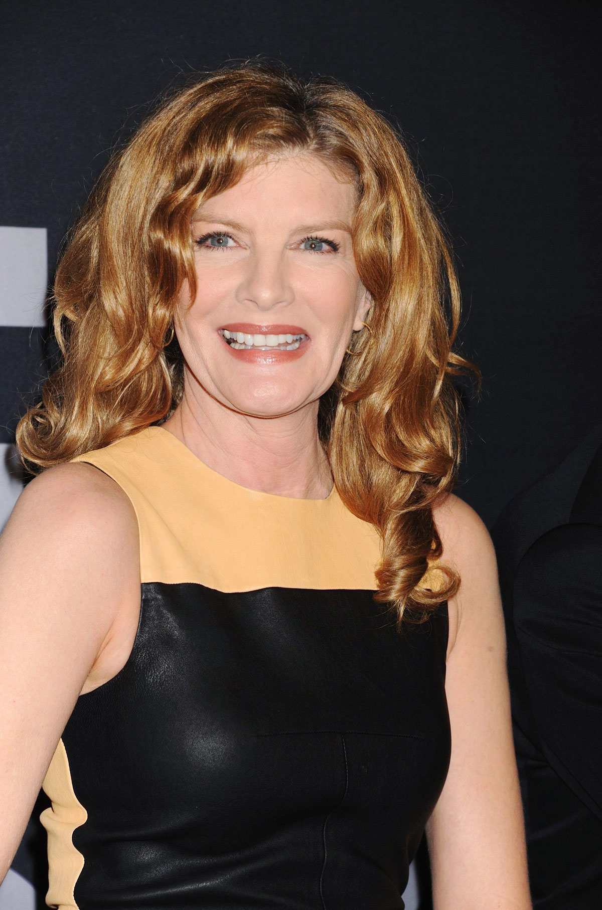 Rene Russo Net Worth