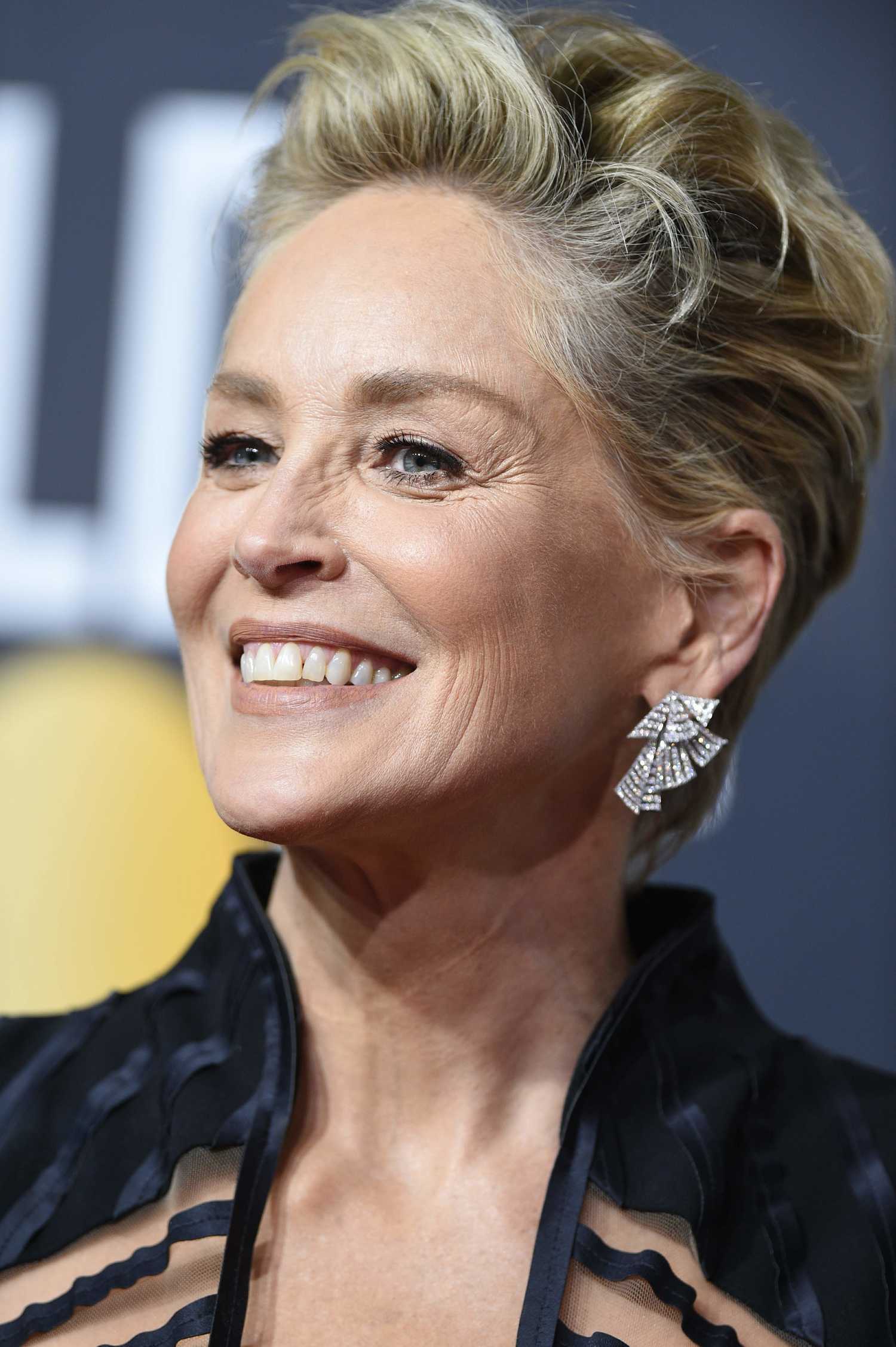 Sharon Stone Net Worth