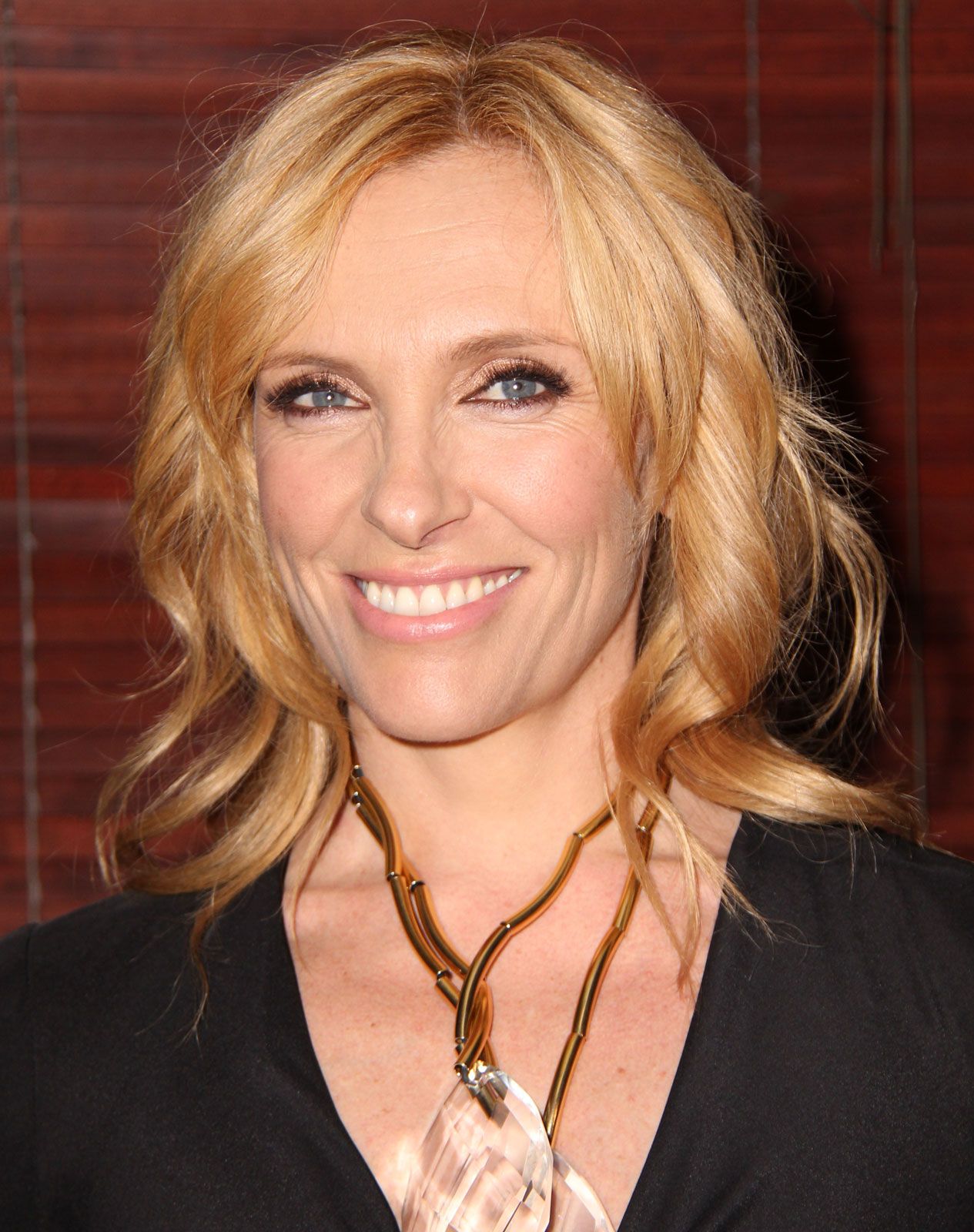 Toni Collette Net Worth