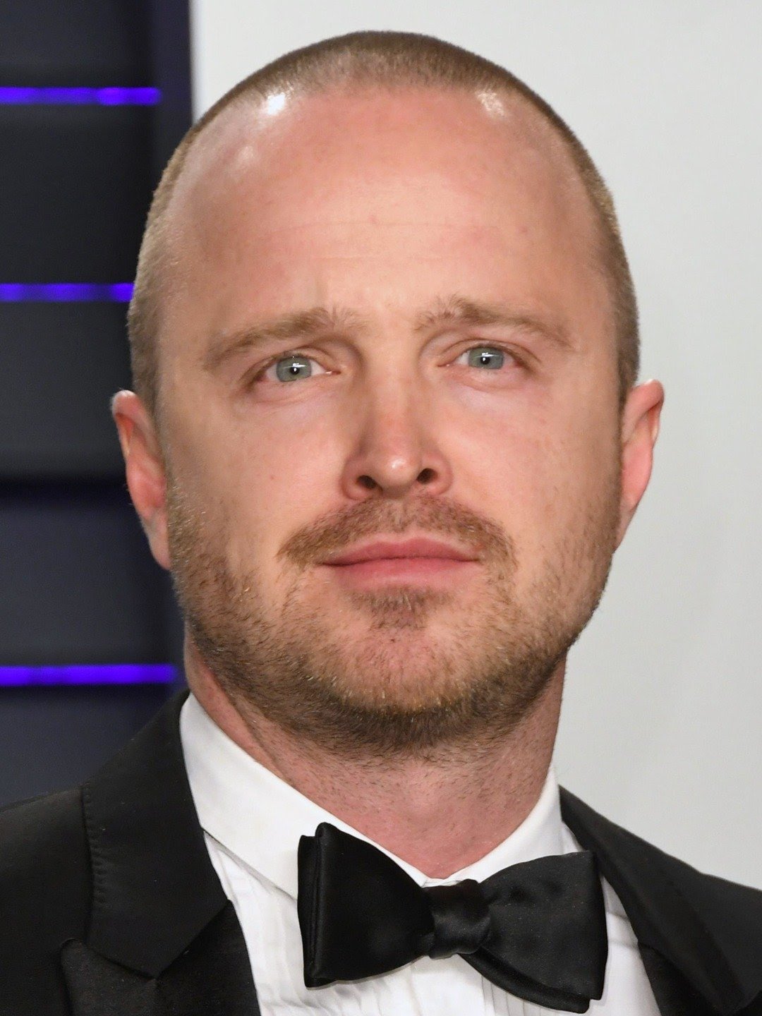 Aaron Paul Net Worth