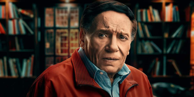 Adel Emam Net Worth