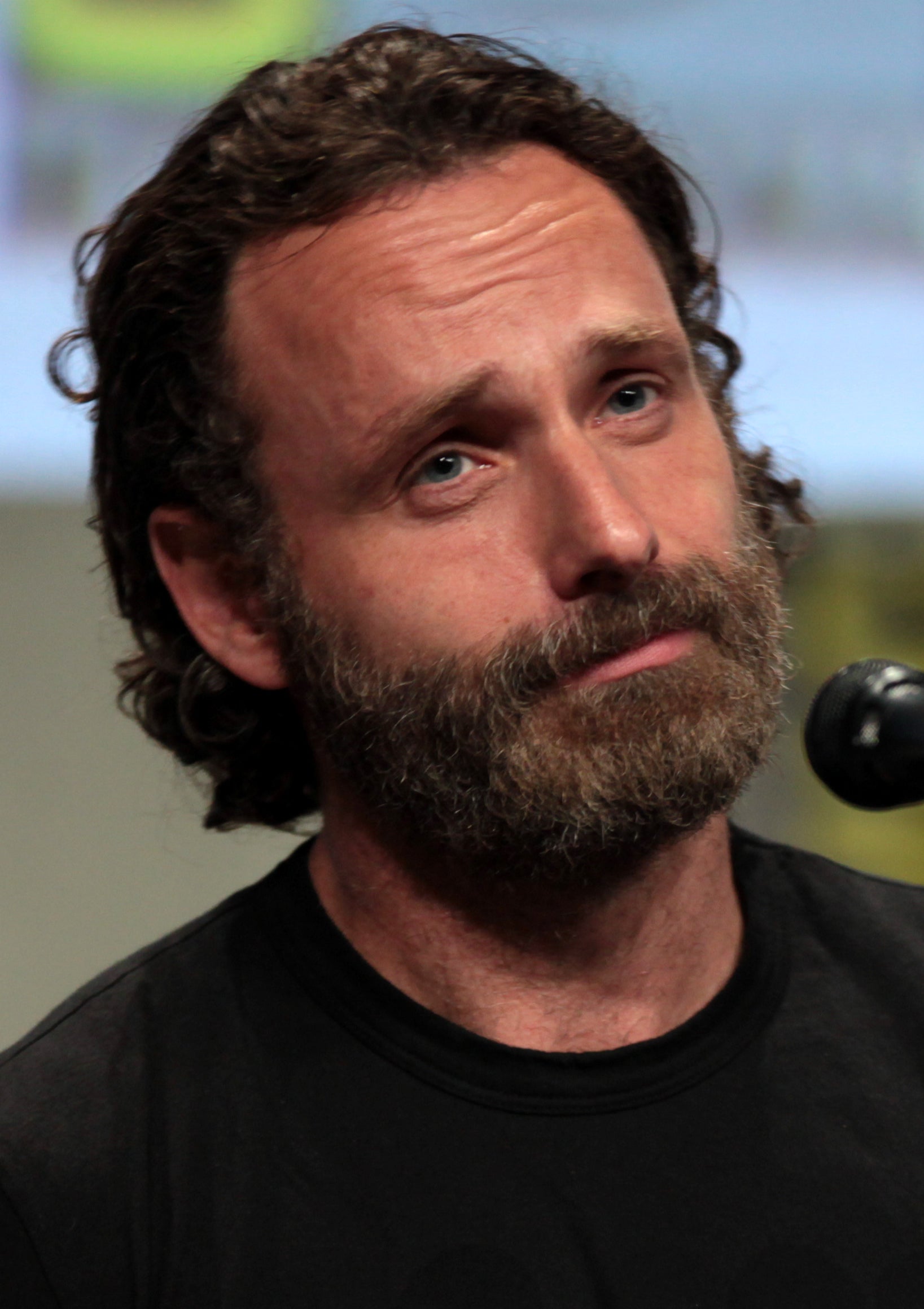 Andrew Lincoln Net Worth