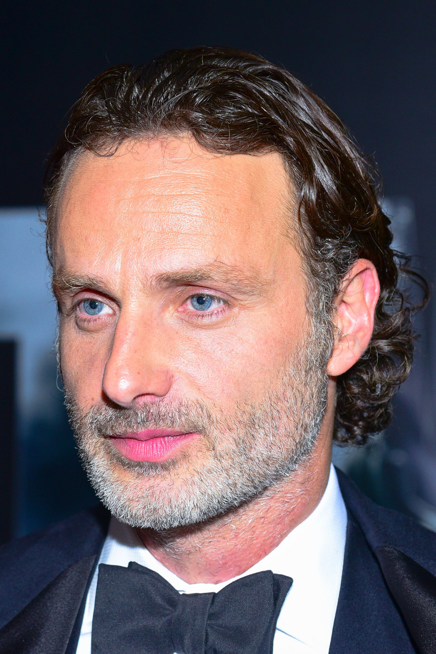 Andrew Lincoln Net Worth