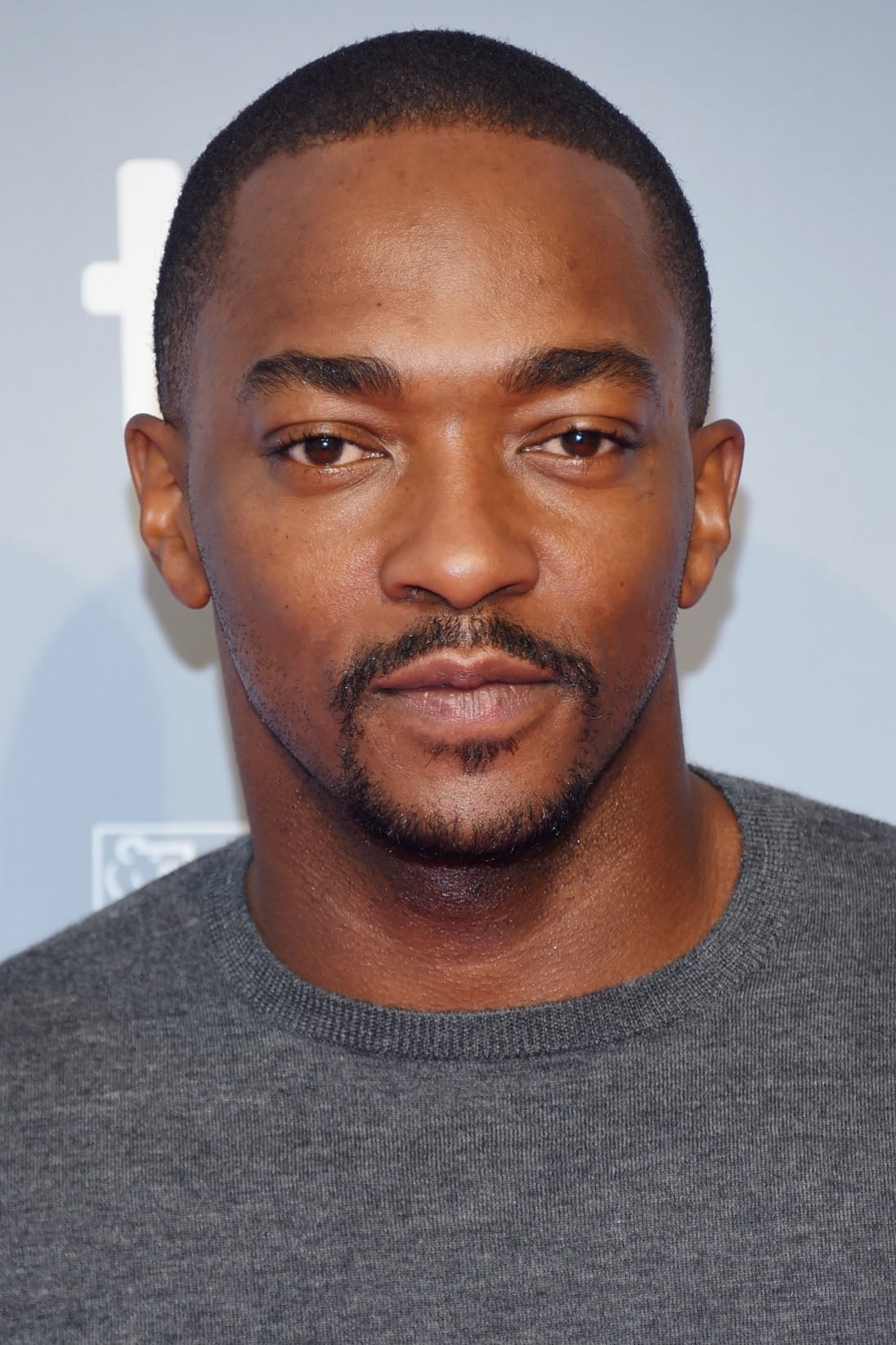 Anthony Mackie Net Worth