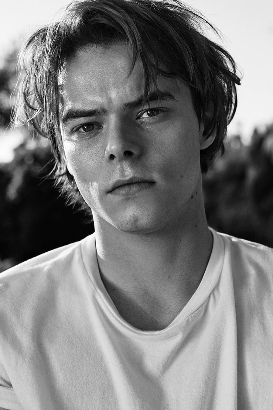 Charlie Heaton Net Worth