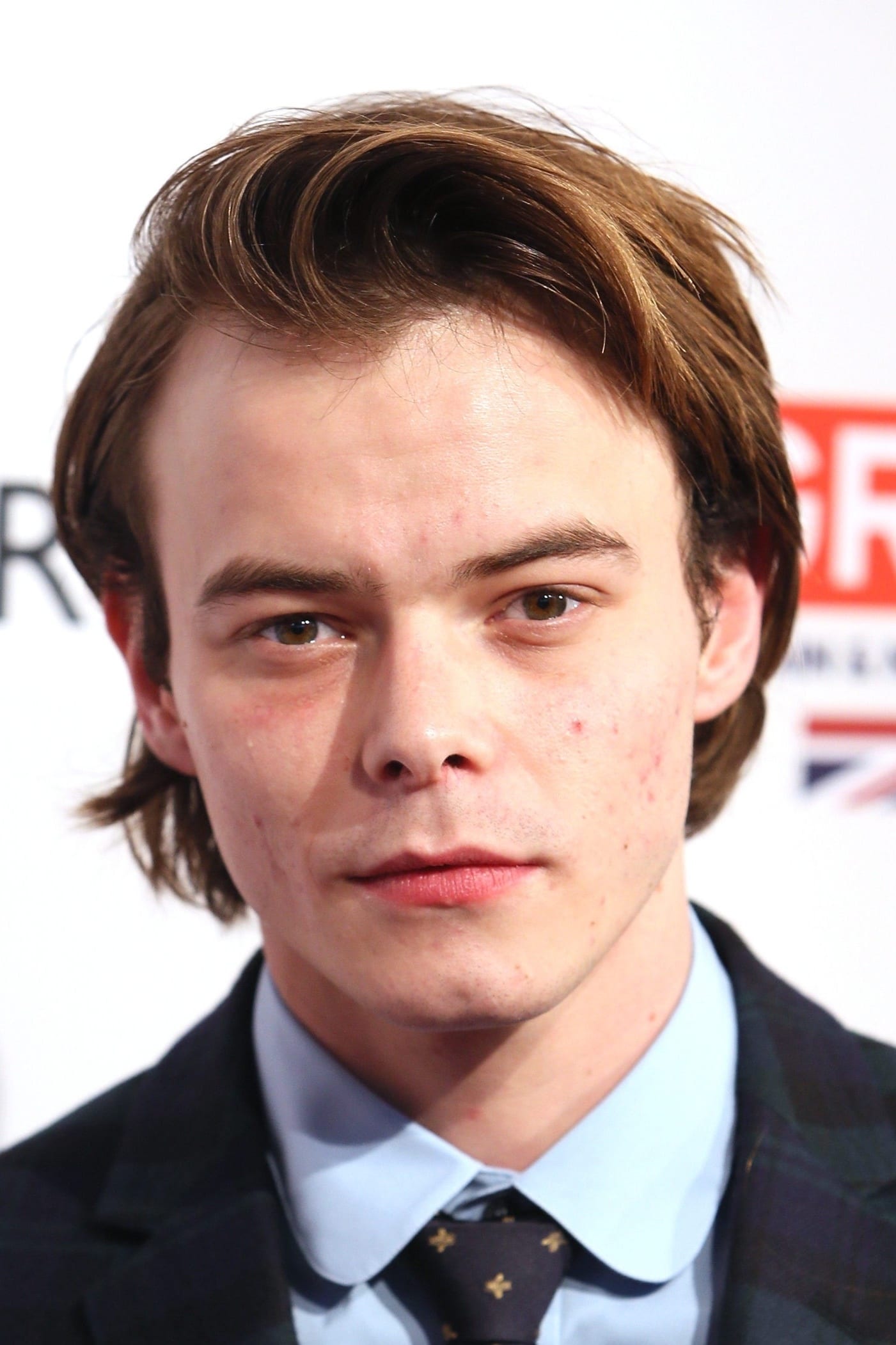 Charlie Heaton Net Worth