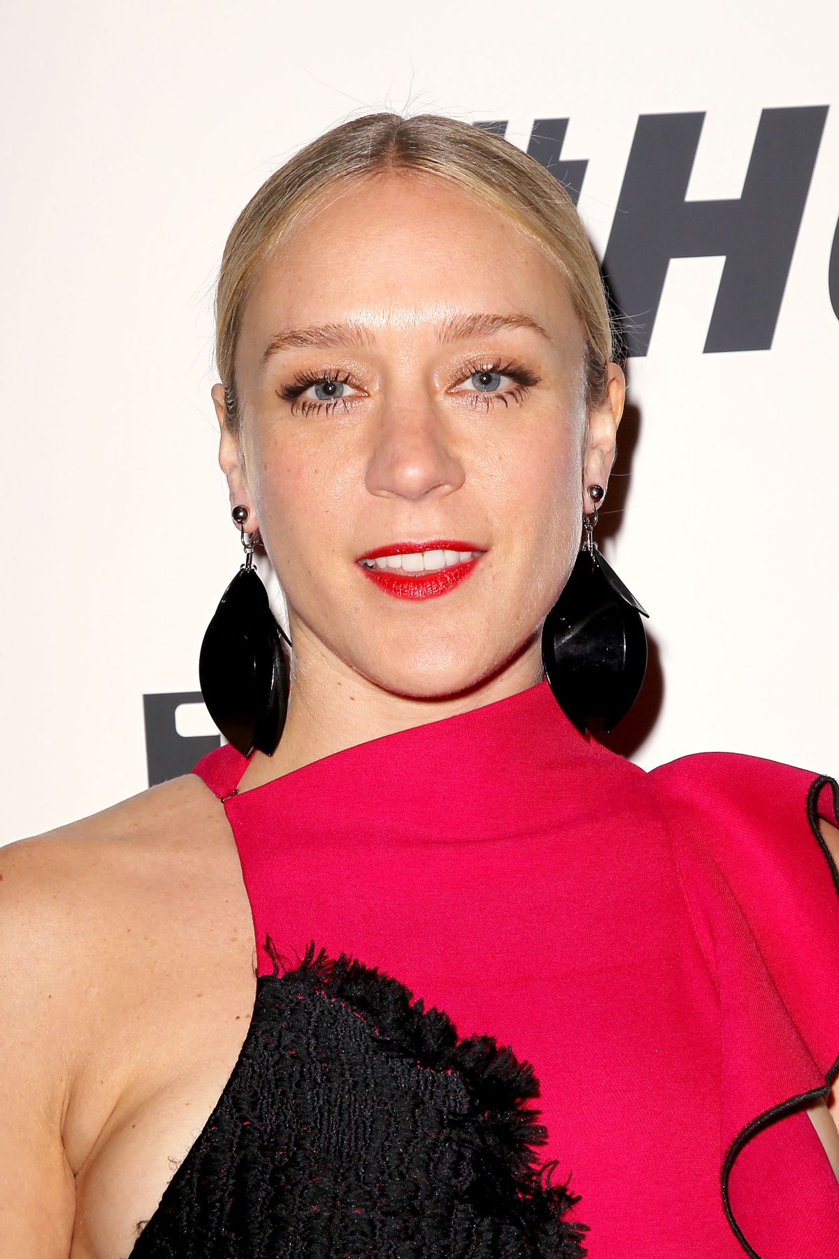 Chloe Sevigny Net Worth