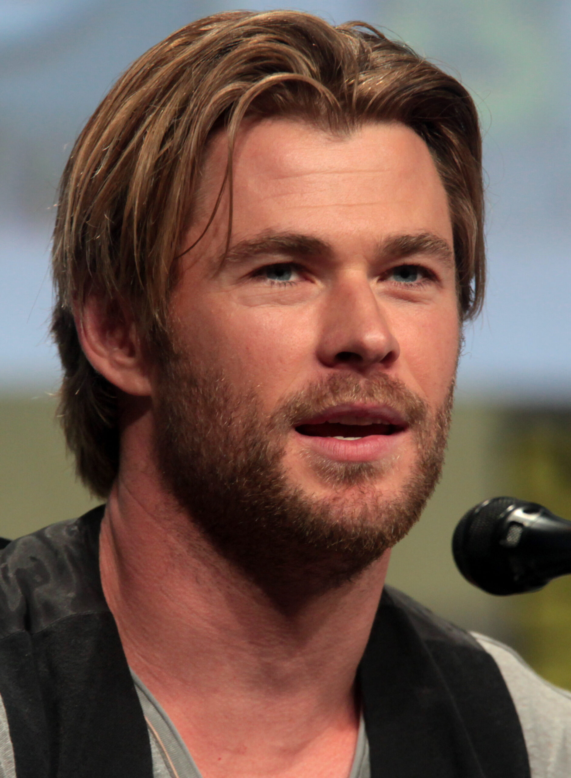 Chris Hemsworth Net Worth