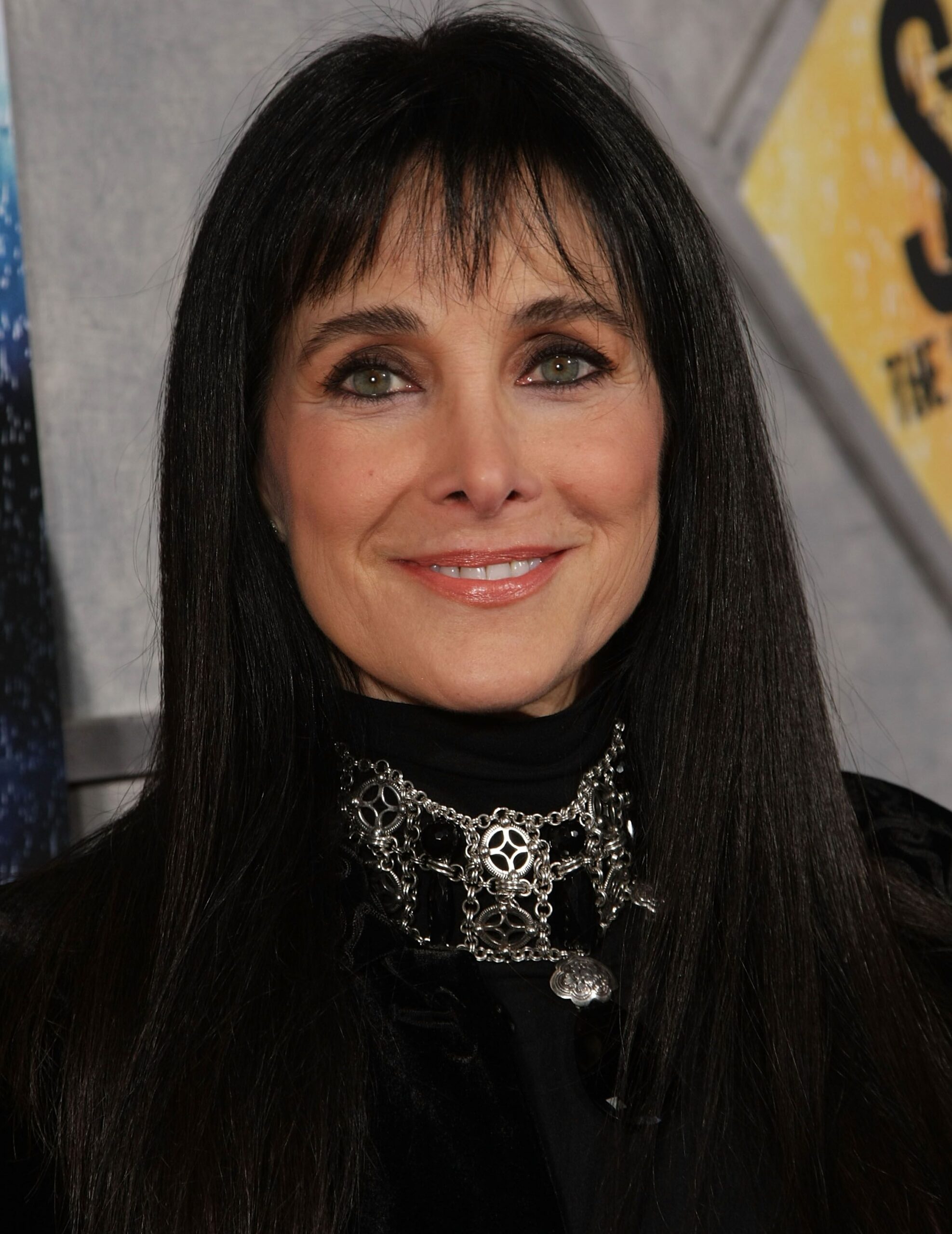 Connie Sellecca Net Worth