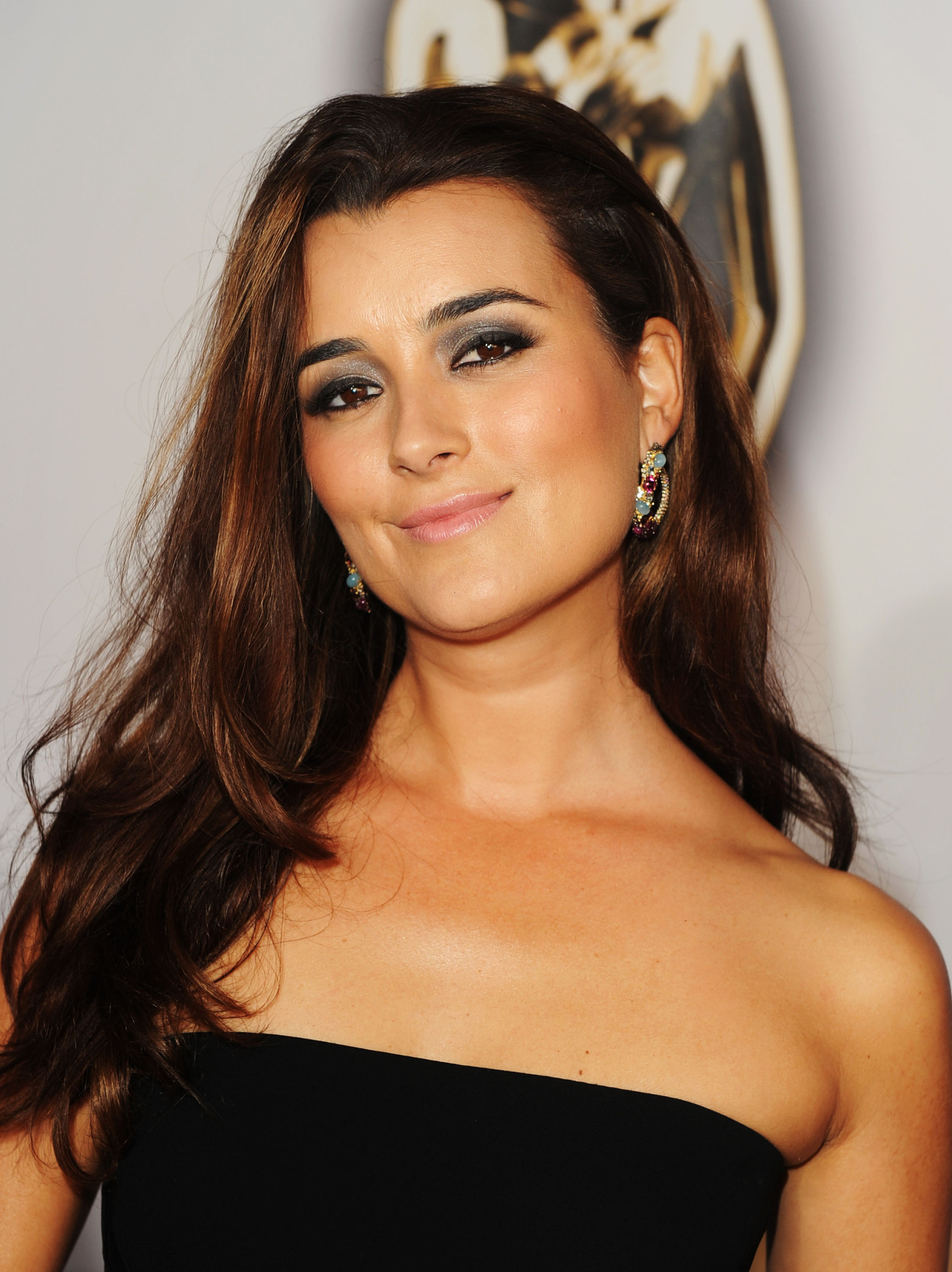 Cote De Pablo Net Worth