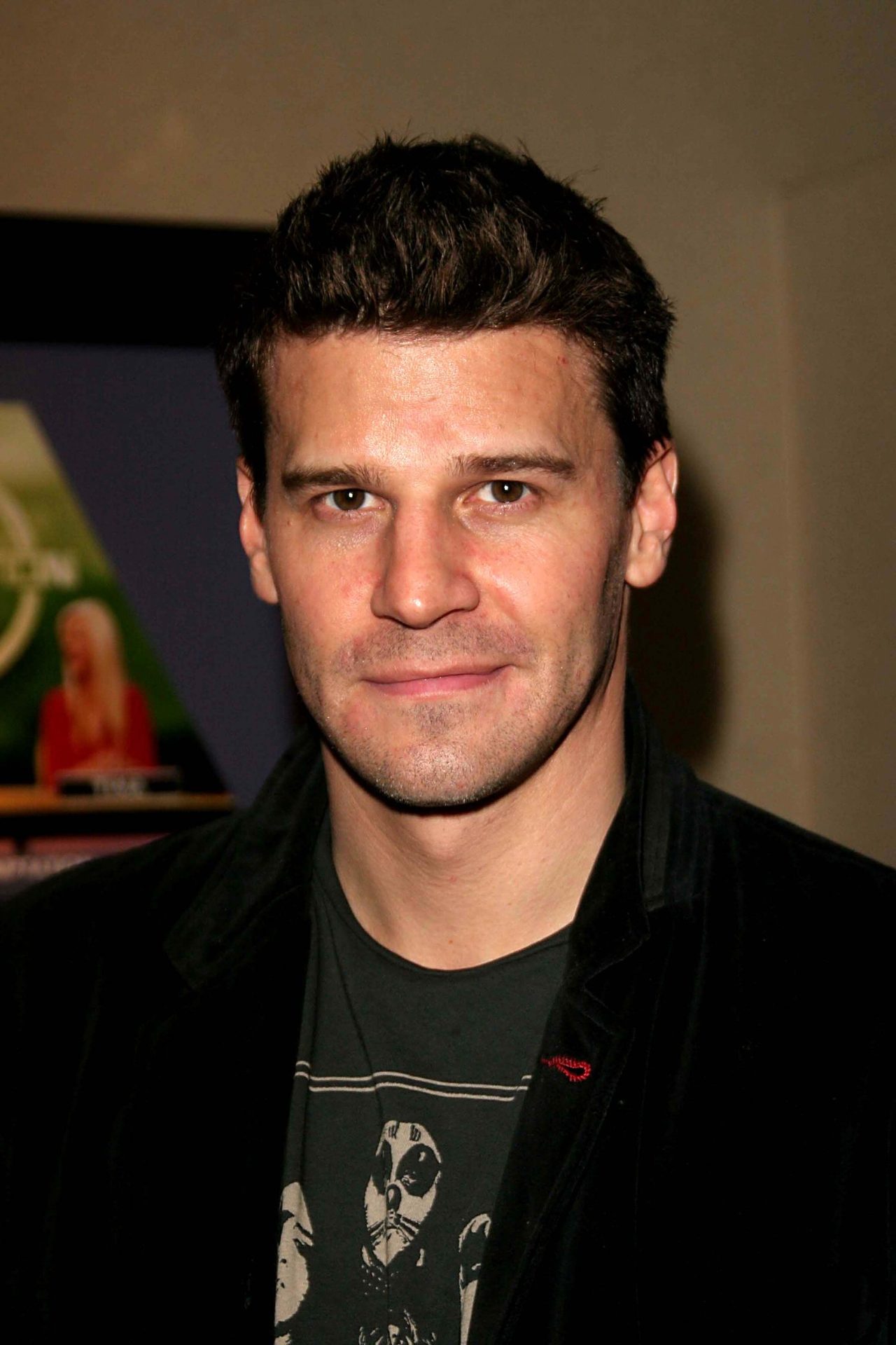 David Boreanaz Net Worth