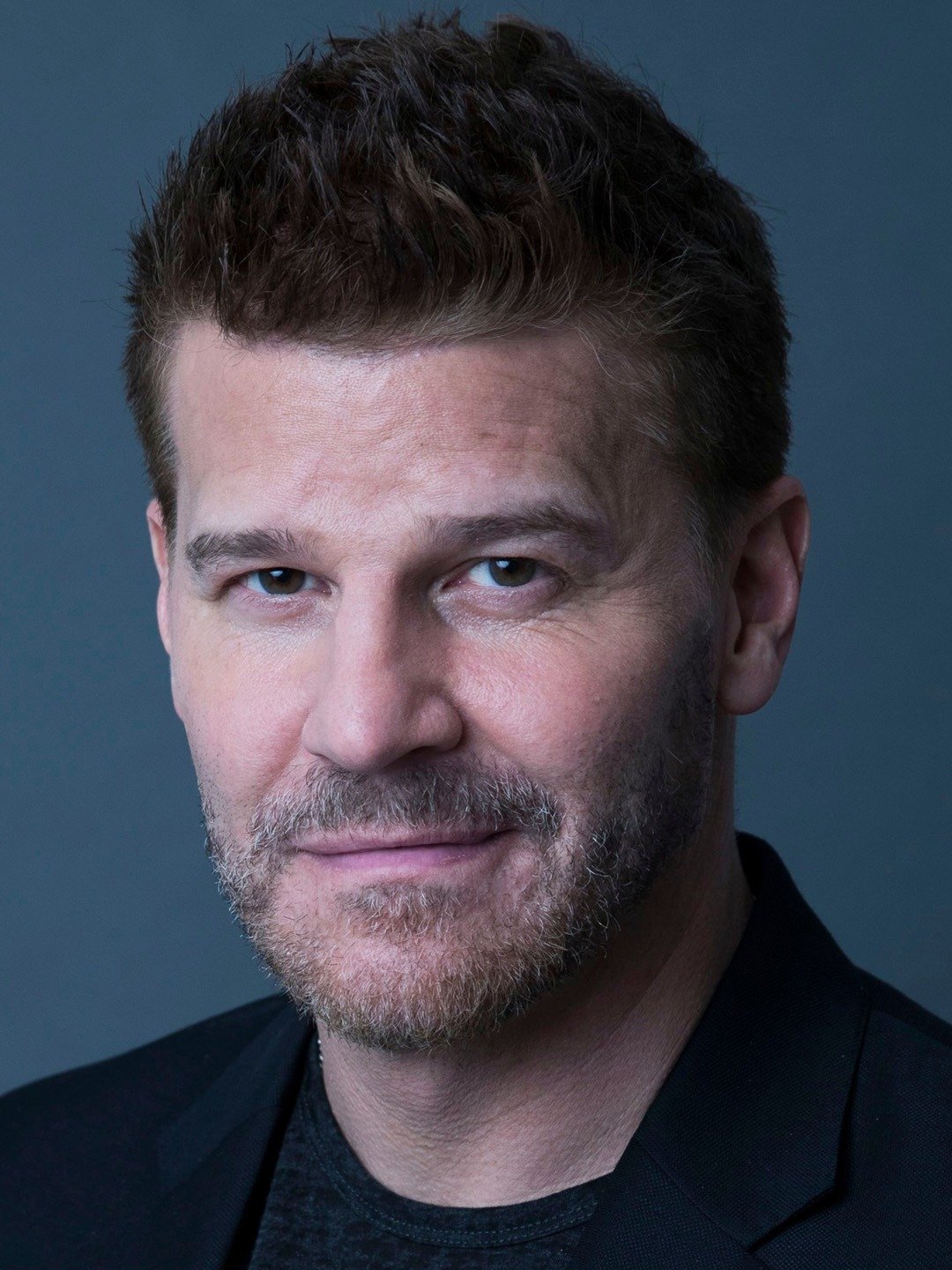 David Boreanaz Net Worth