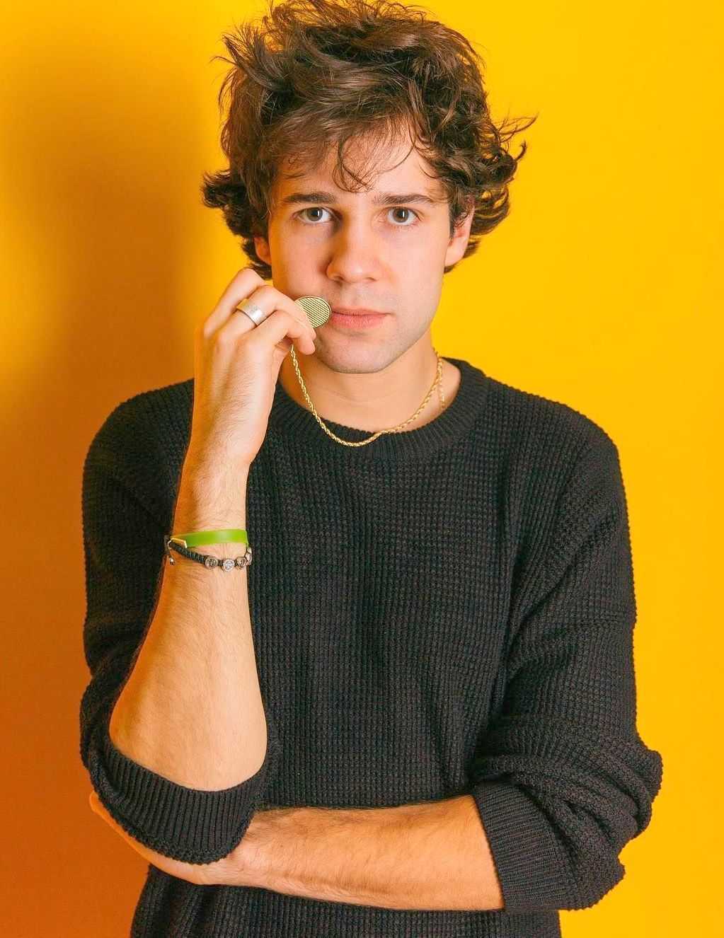 David Dobrik Net Worth