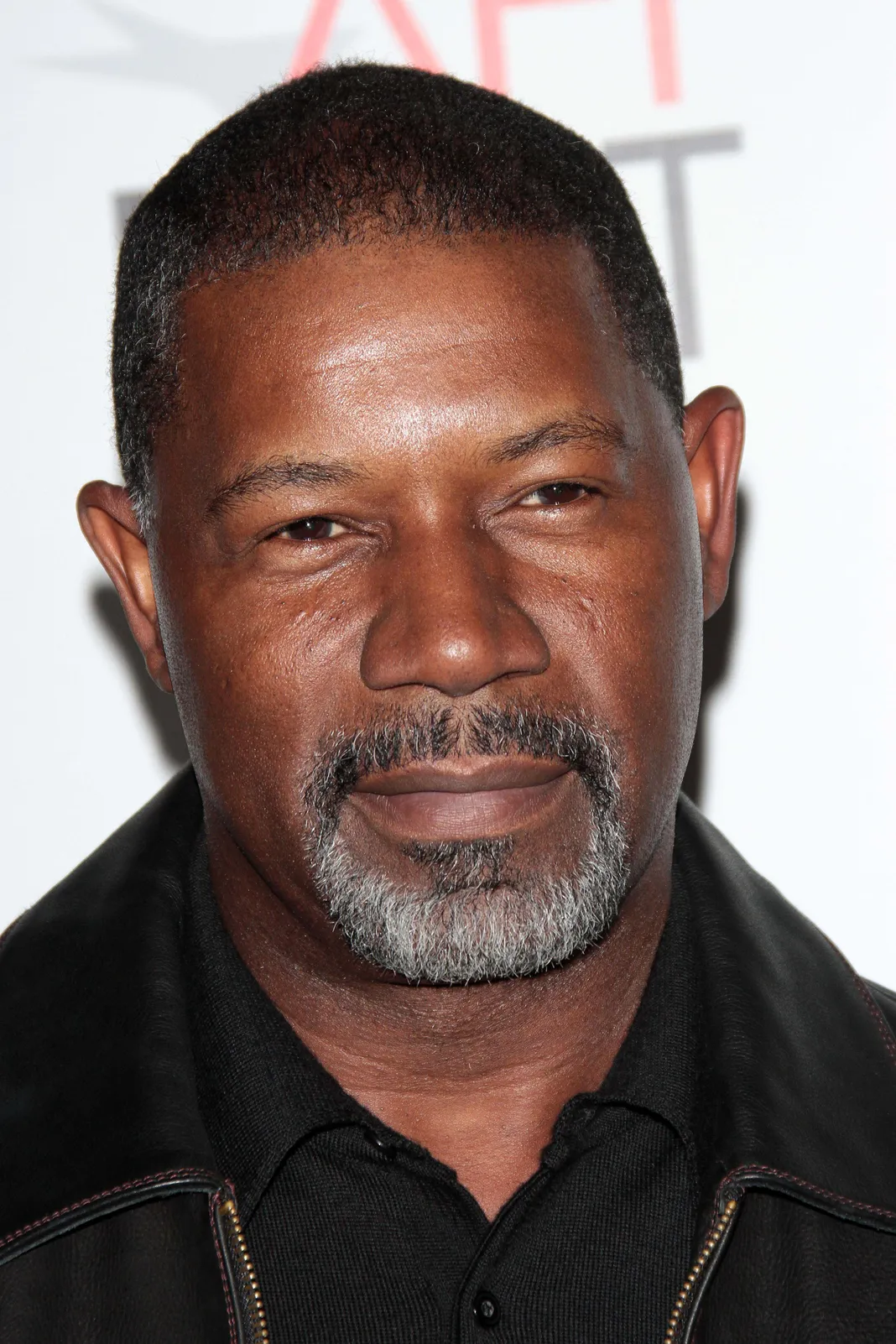 Dennis Haysbert Net Worth