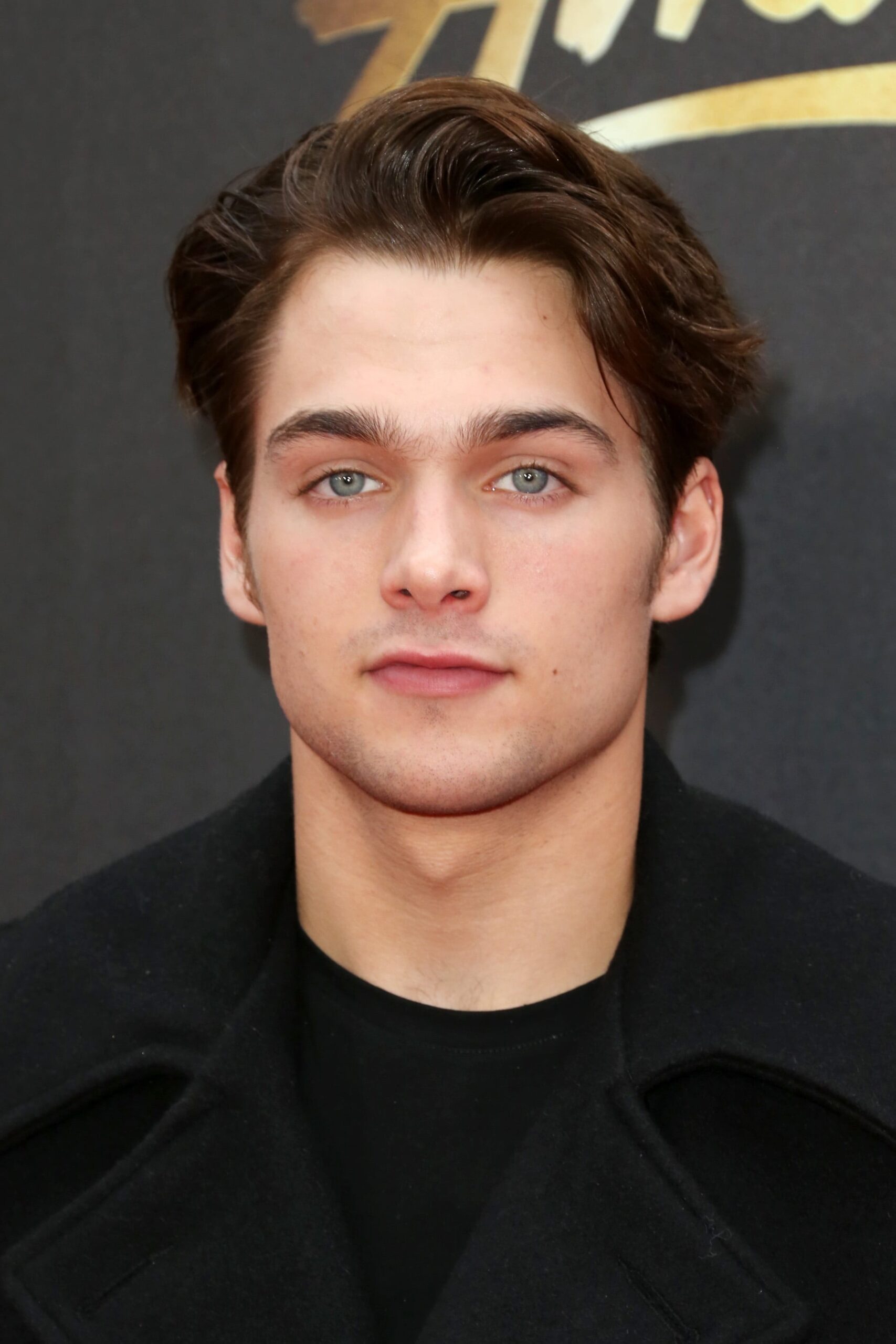 Dylan Sprayberry Net Worth