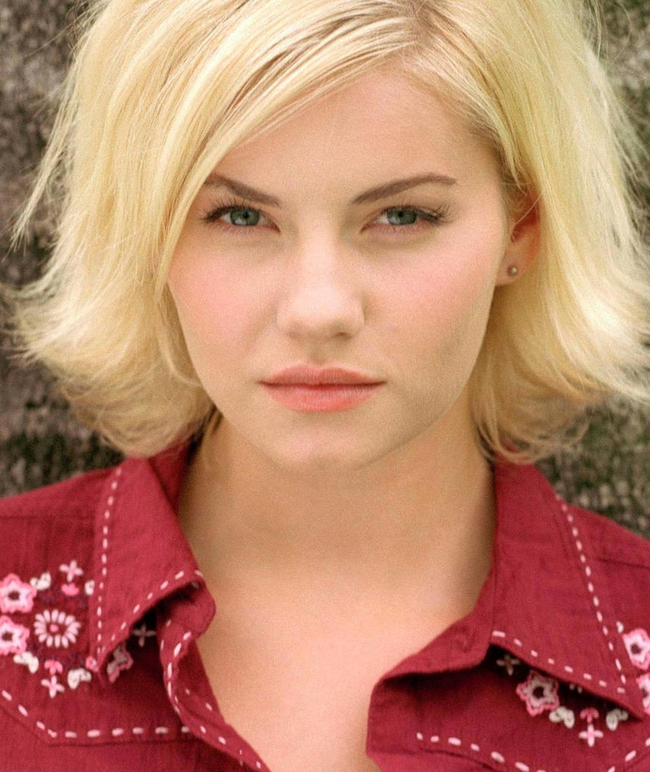 Elisha Cuthbert Net Worth