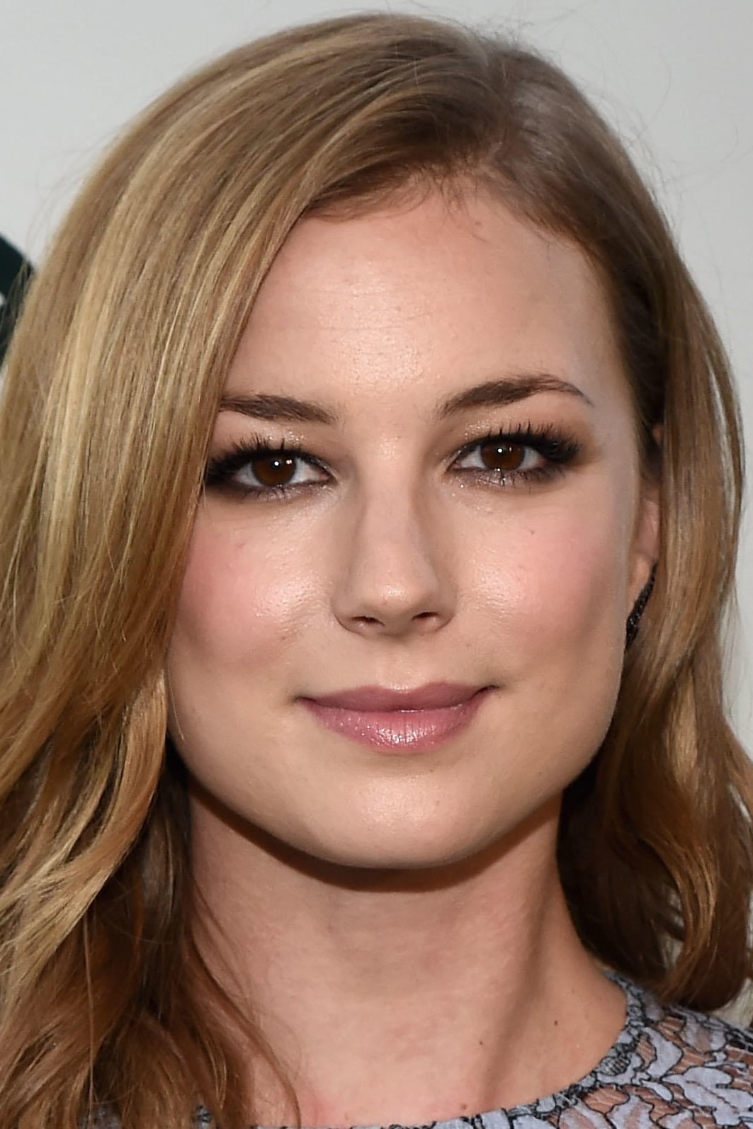 Emily Vancamp Net Worth