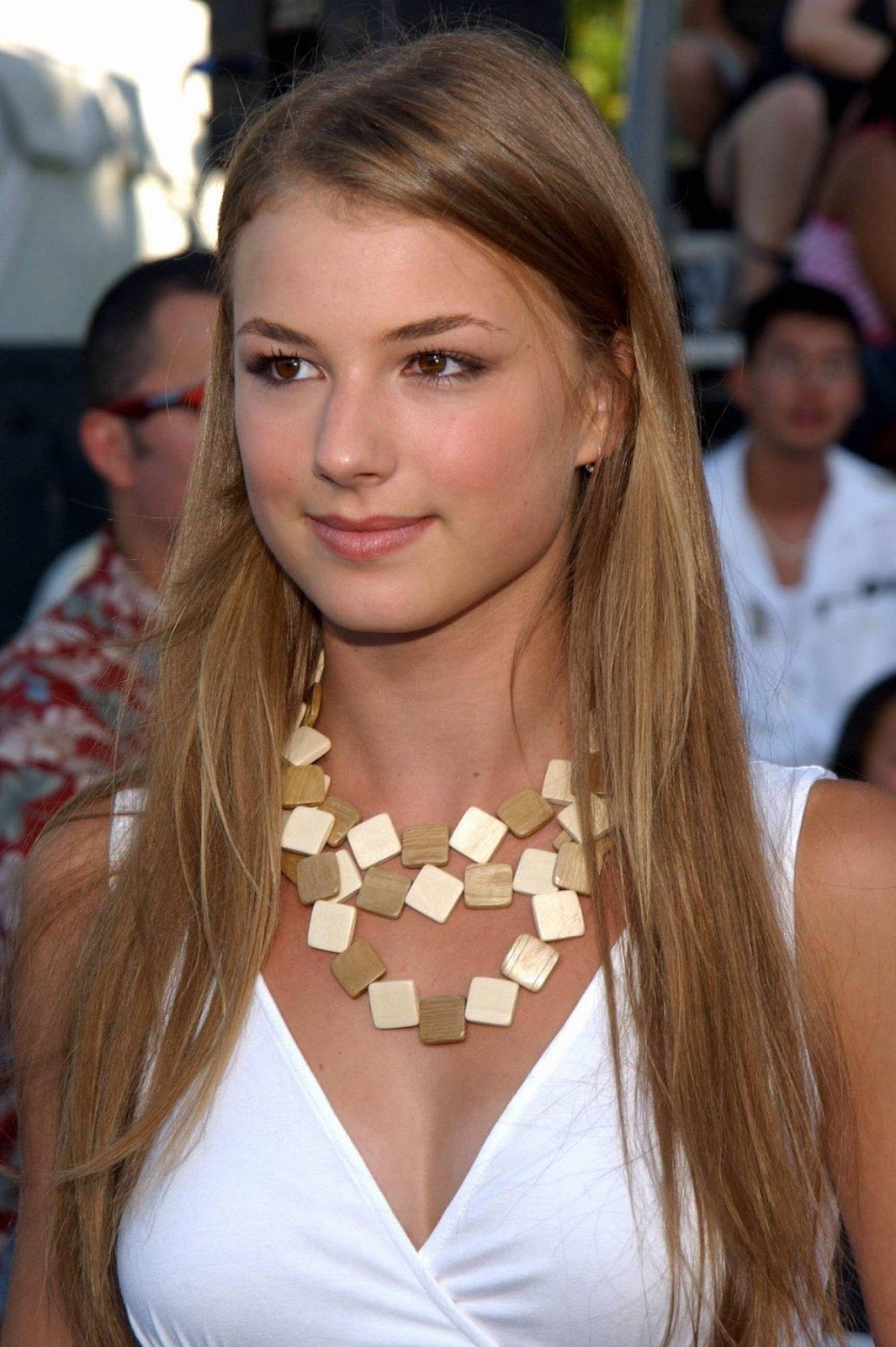 Emily Vancamp Net Worth