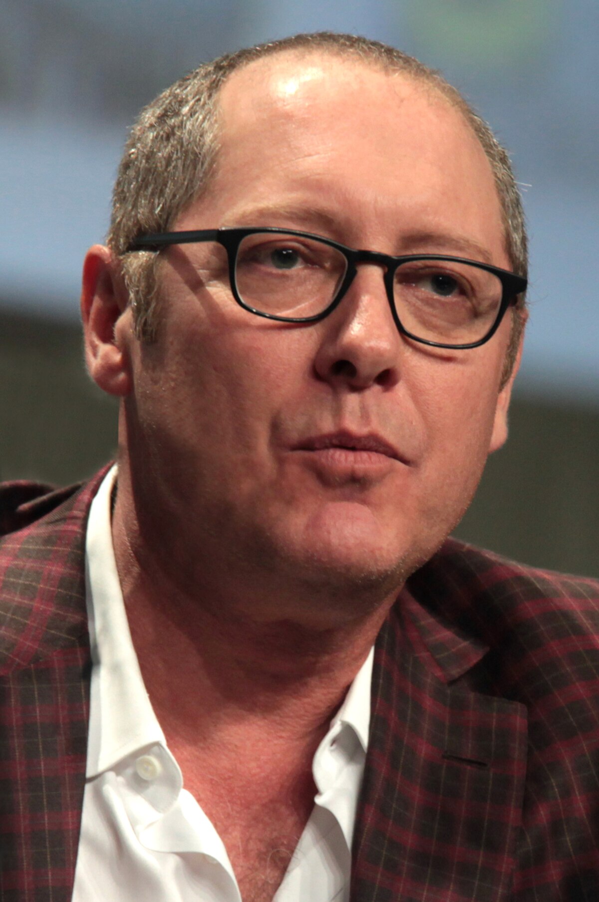 James Spader Net Worth