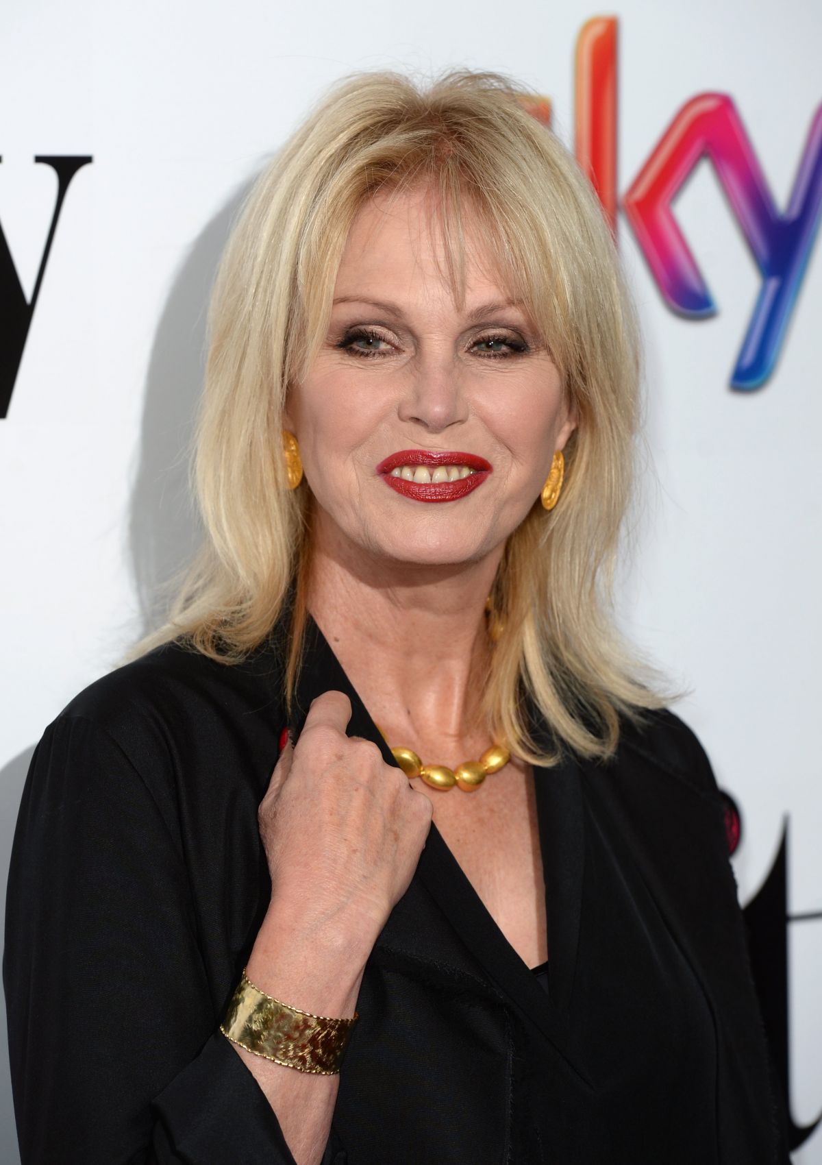 Joanna Lumley Net Worth