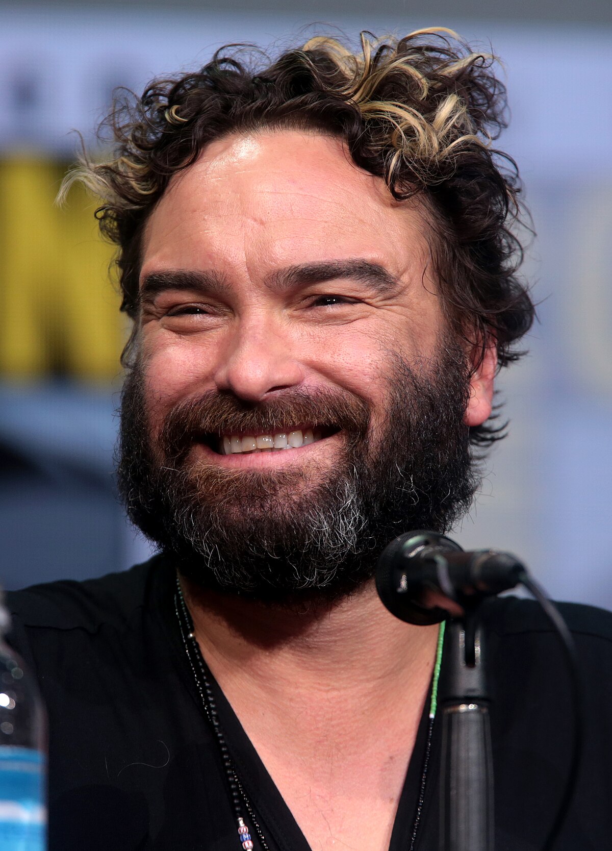 Johnny Galecki Net Worth