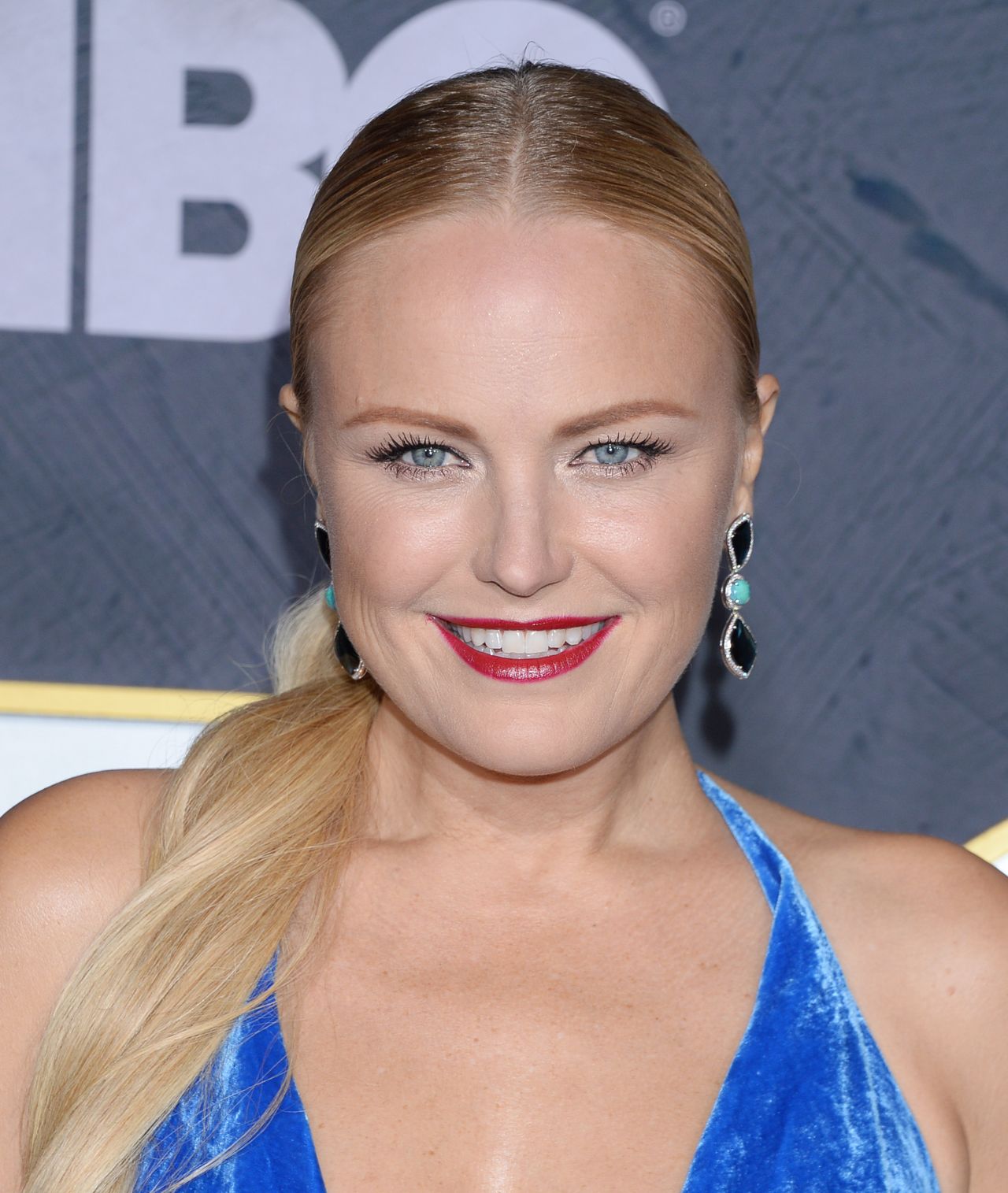 Malin Akerman Net Worth