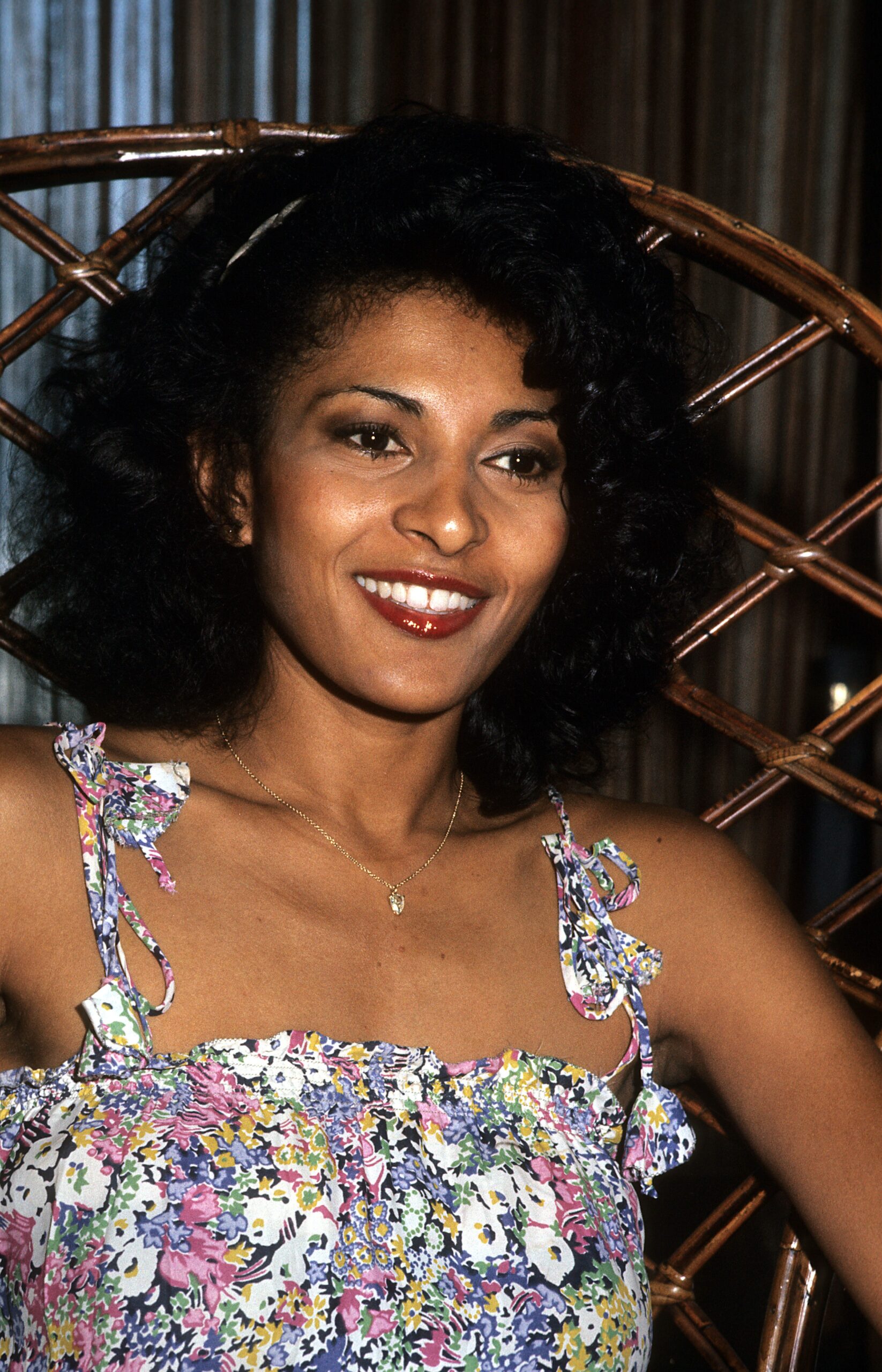 Pam Grier Net Worth