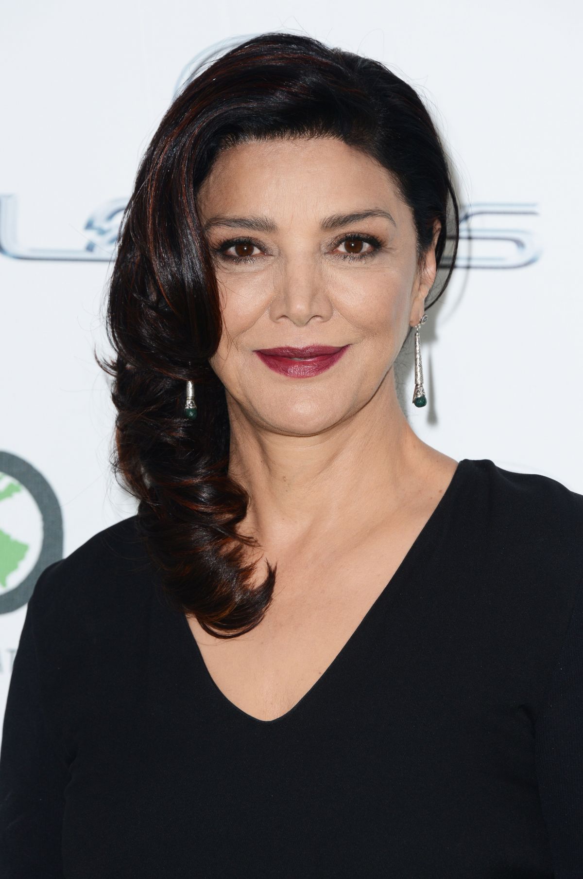 Shohreh Aghdashloo Net Worth