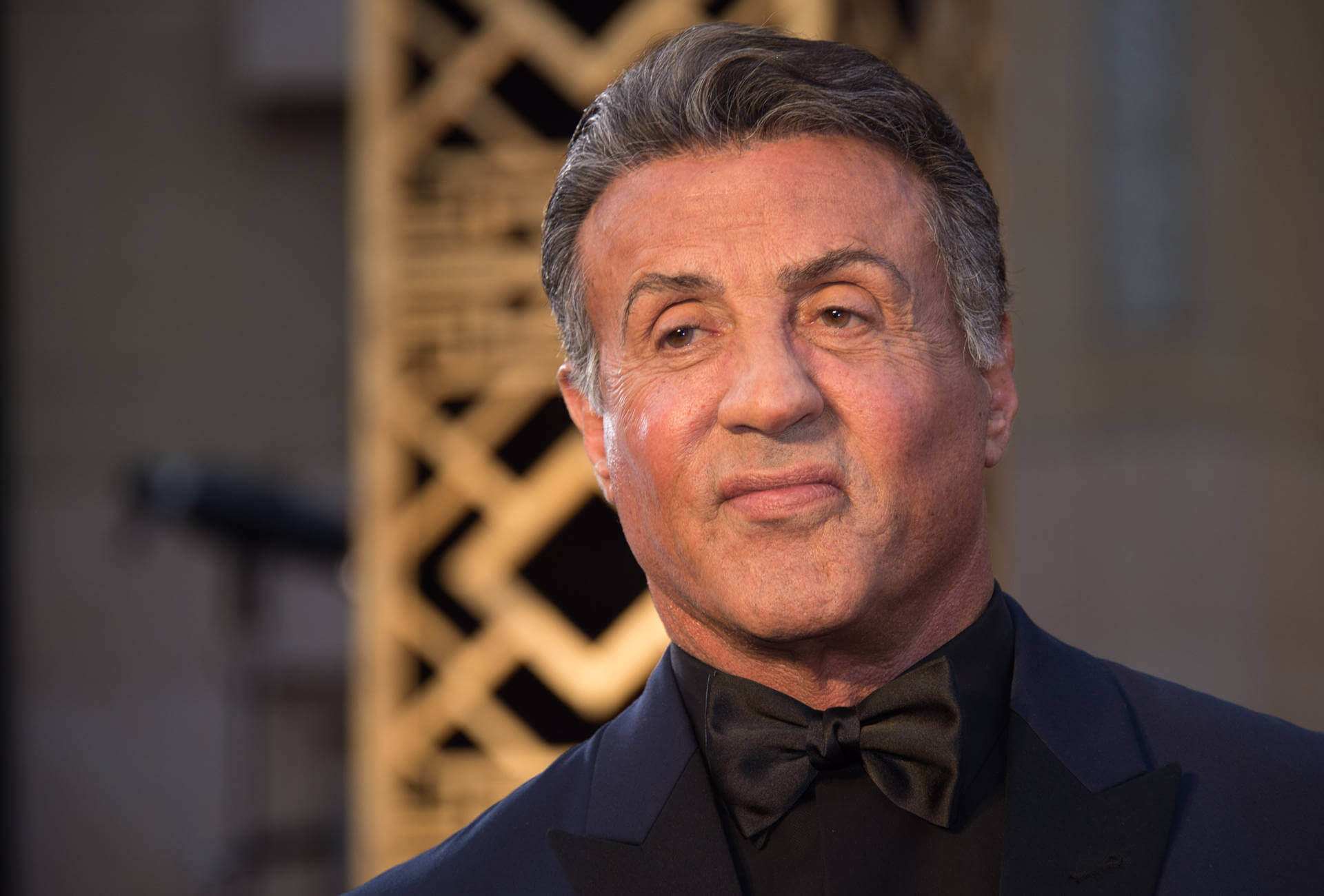 Sylvester Stallone Net Worth