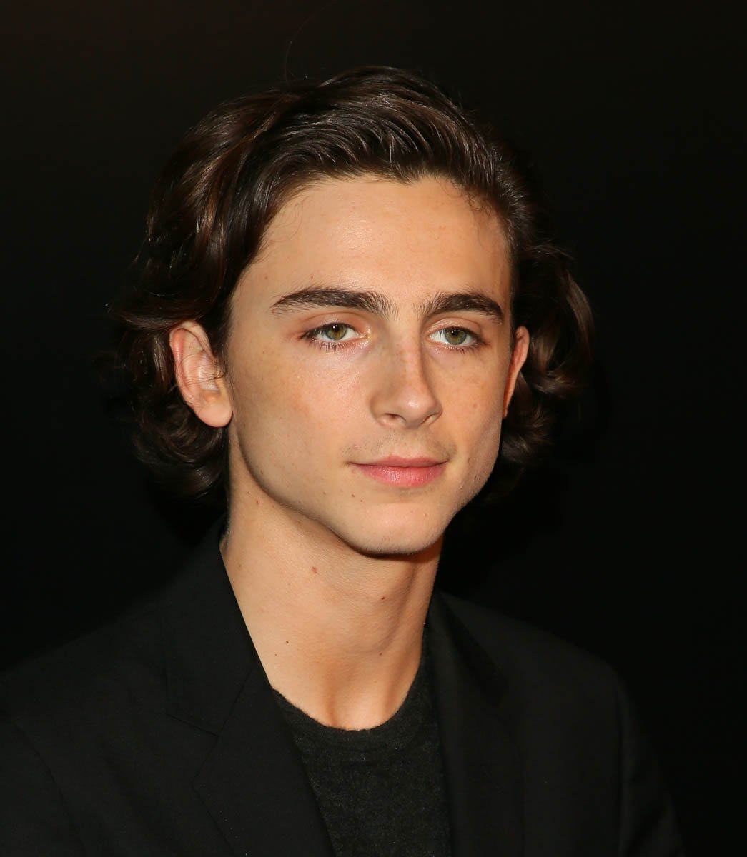 Timothee Chalamet Net Worth